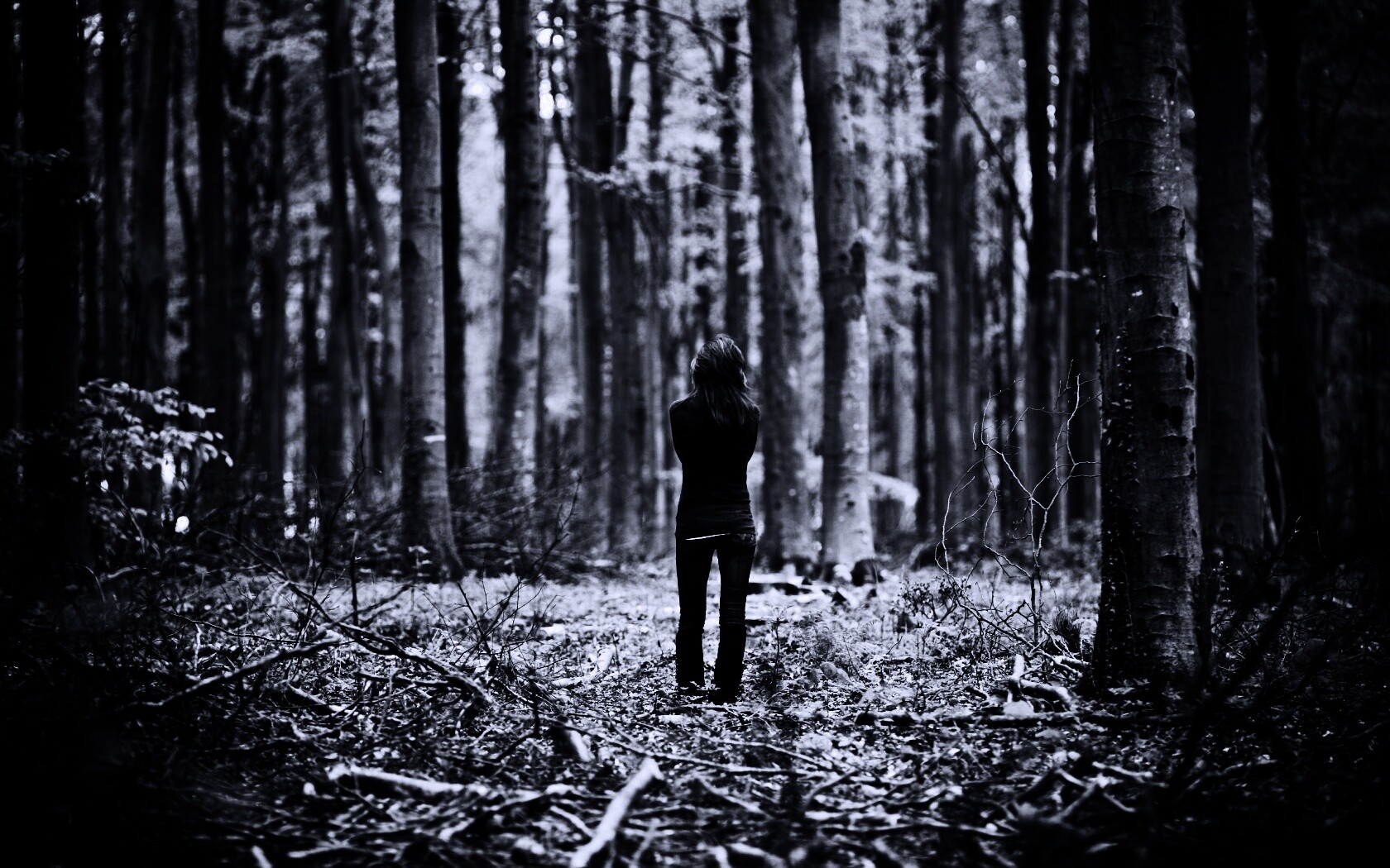 Одна в лесу обои