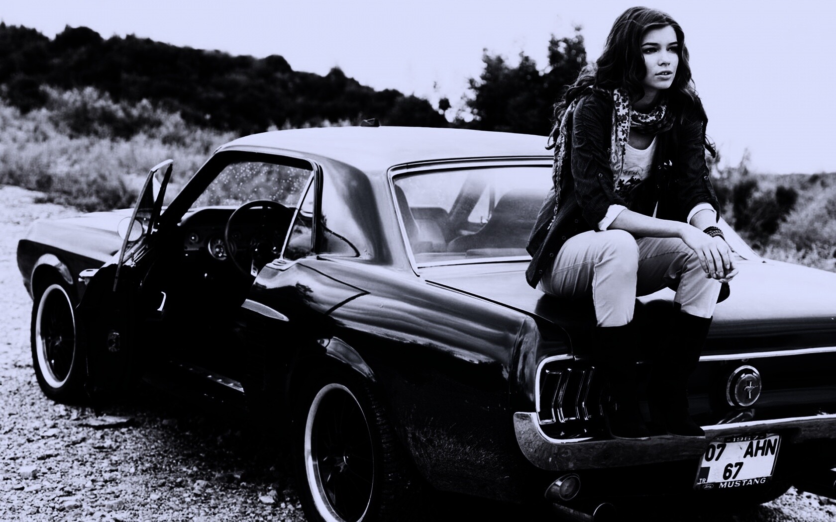 Девушка на мустанге обои