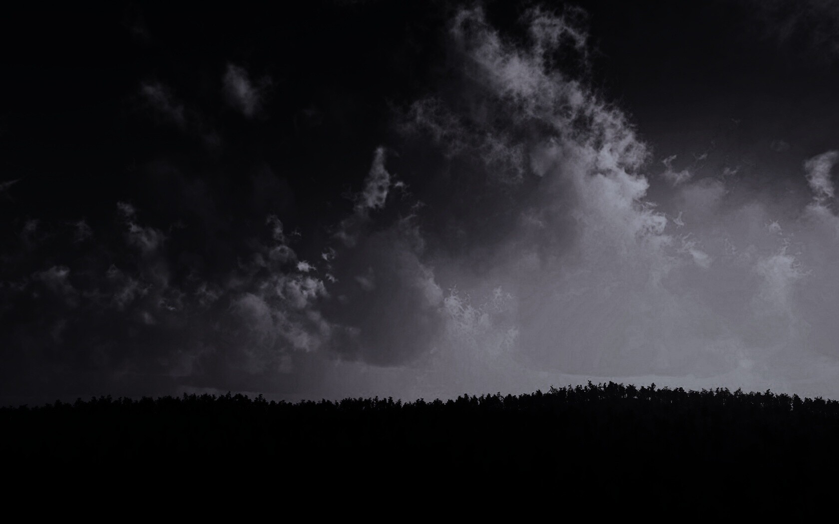 Закат над лесом обои