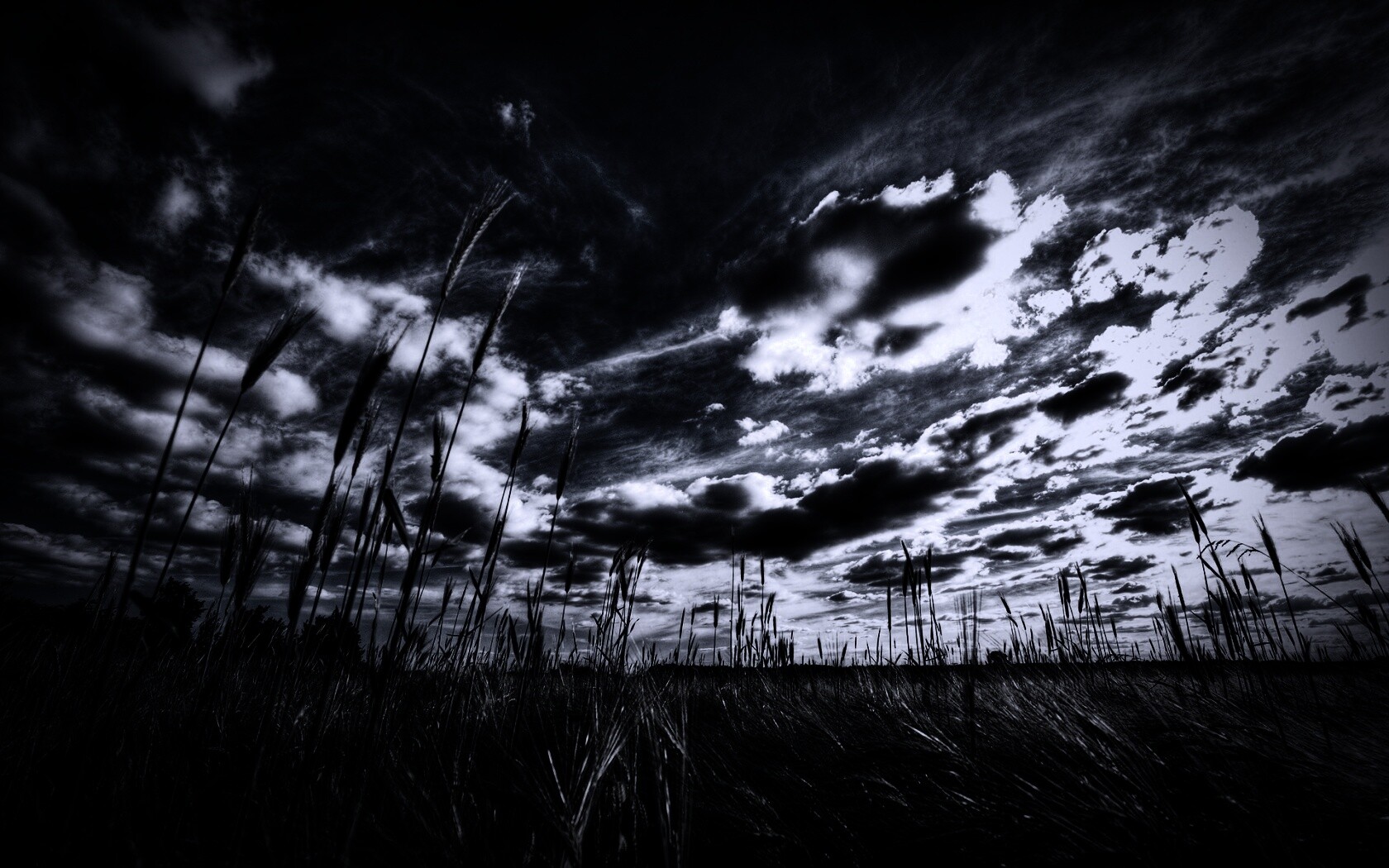 HDR Поле обои