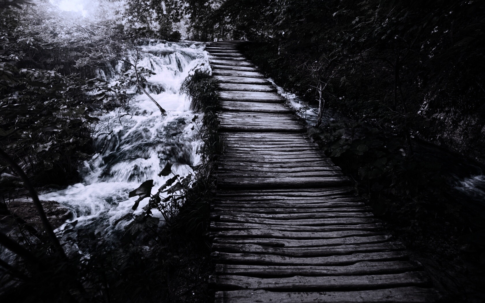 Деревянная дорожка над ручьем обои