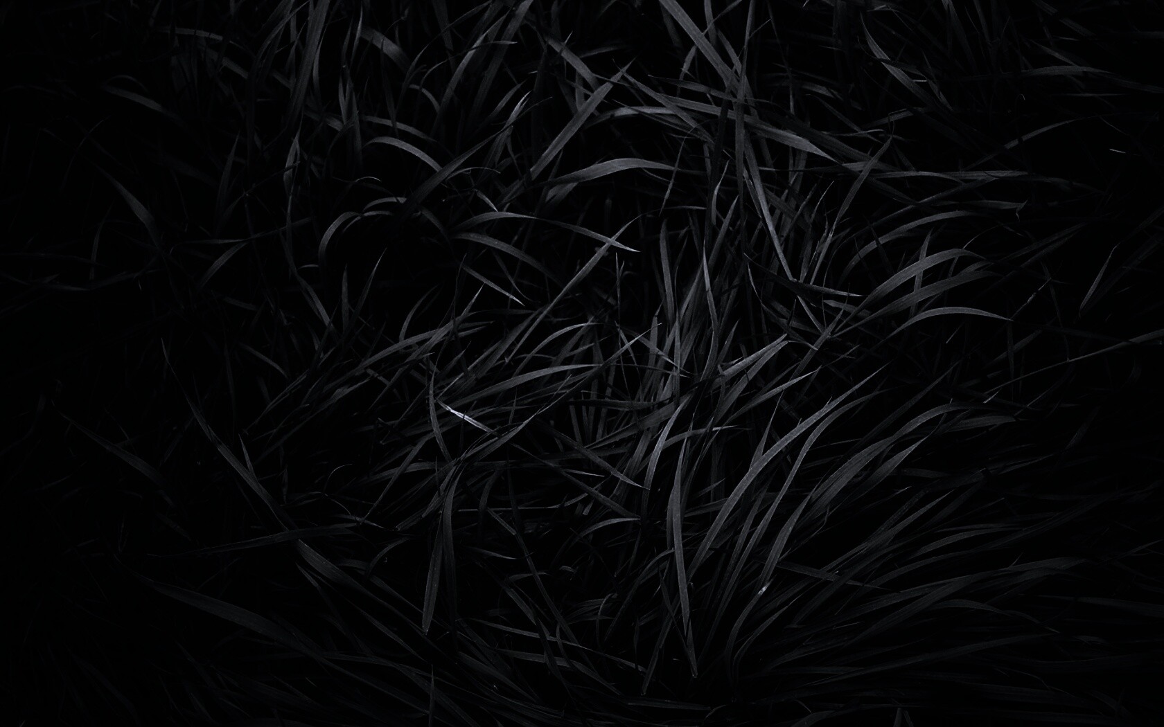 Блеклая трава обои