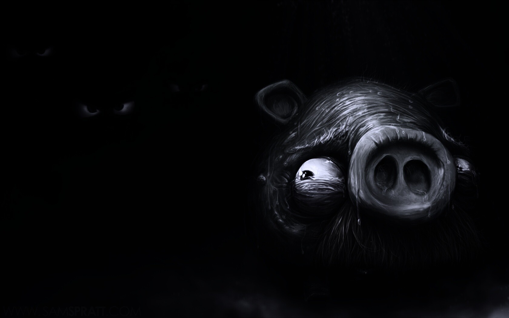 Свинья из Angry Birds обои