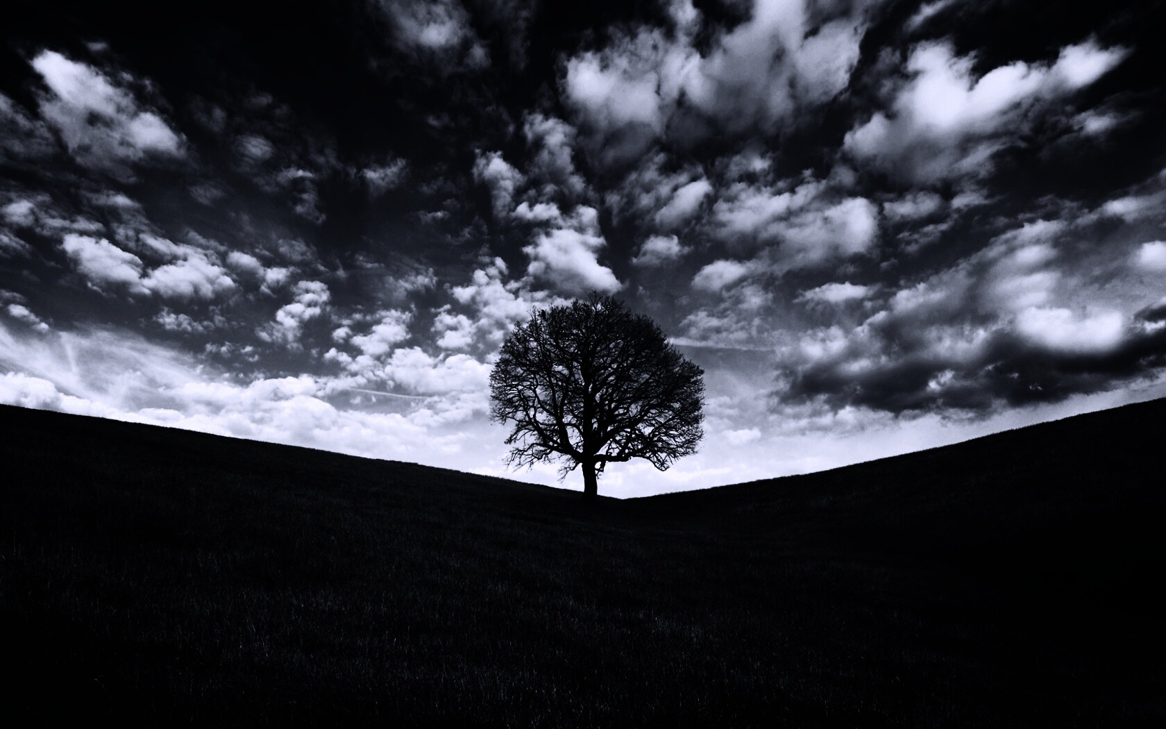 Холм одинокого дуба обои