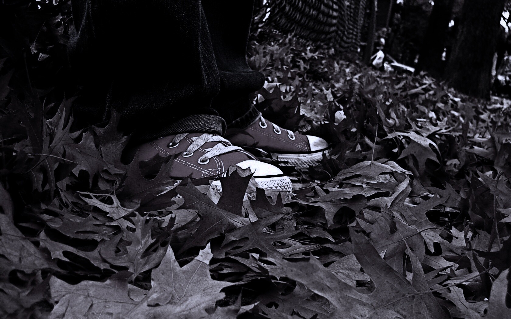 Оранжевые кеды обои