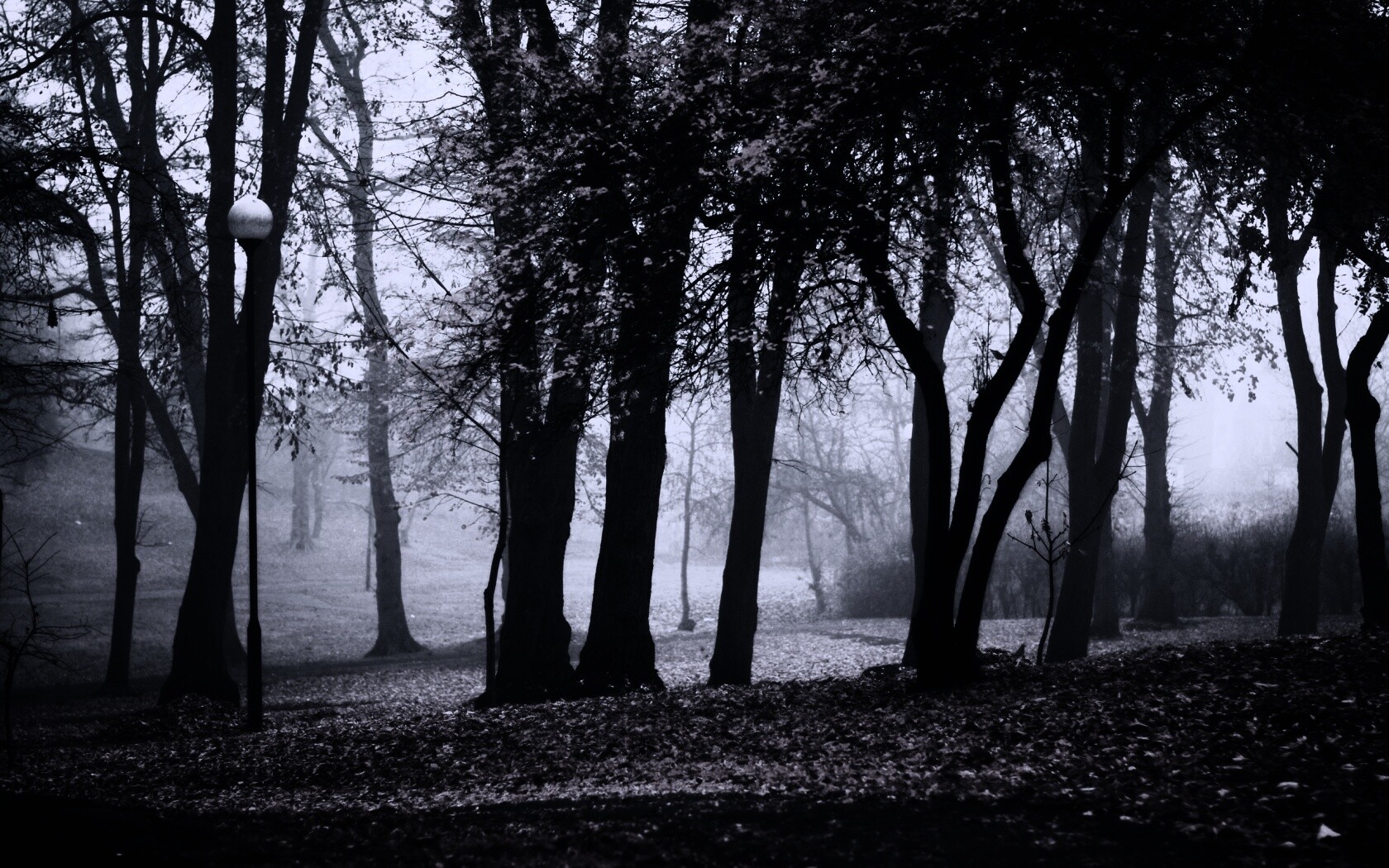 Парк красных листьев обои