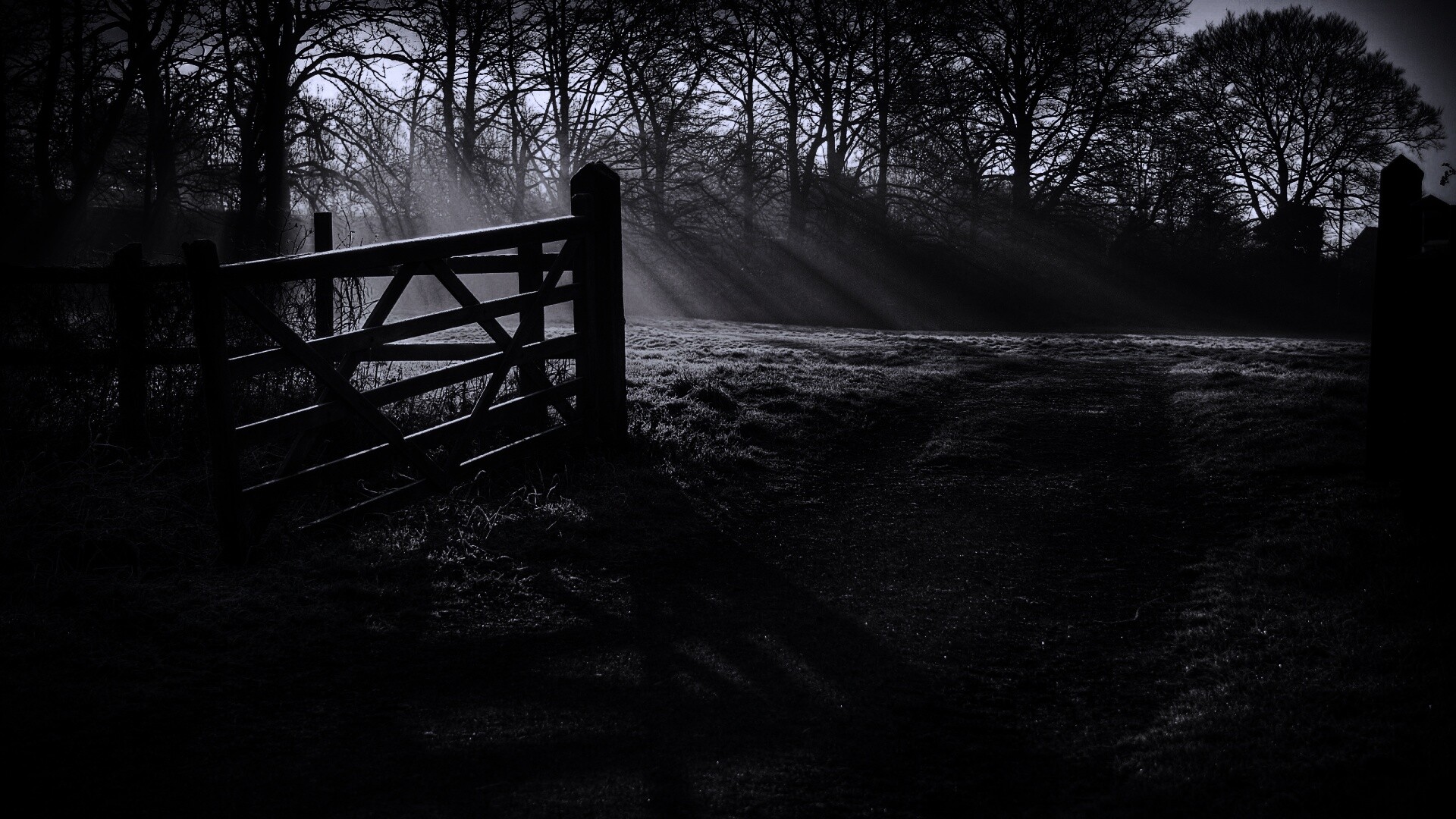 Открытые ворота обои