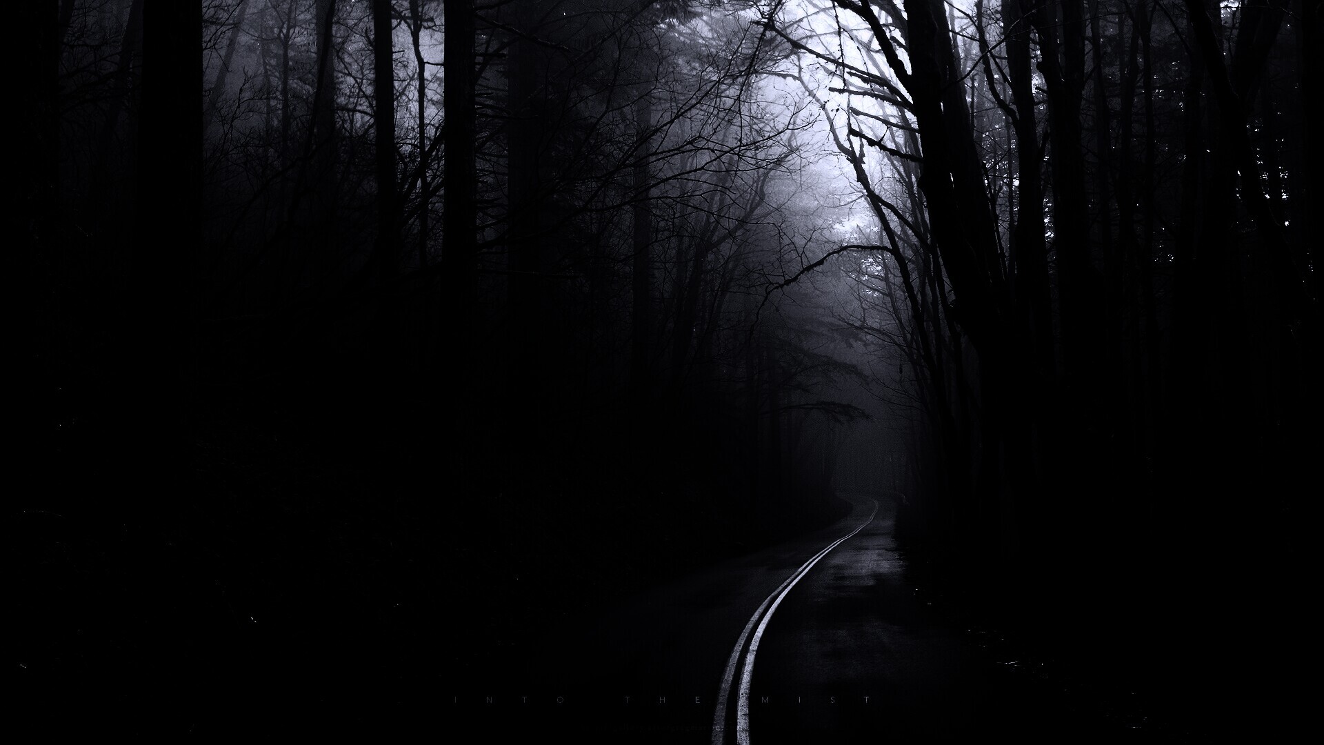 В туман обои