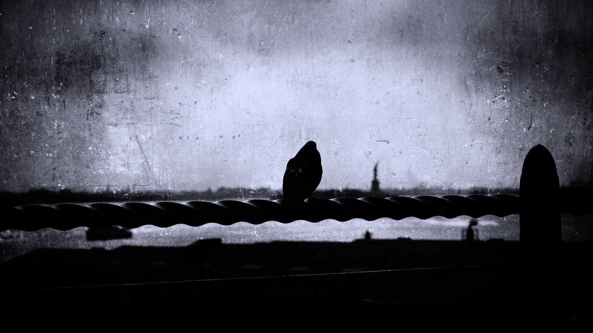 Голубь в Нью-Йоркских доках обои