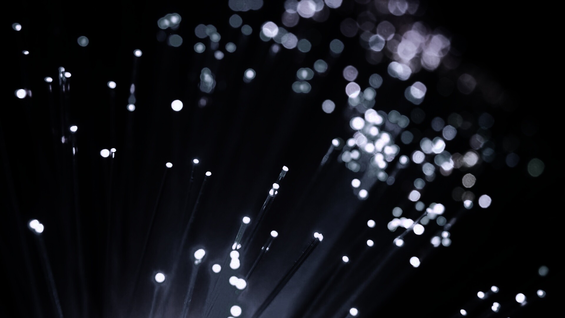 Огоньки на оптоволокне обои