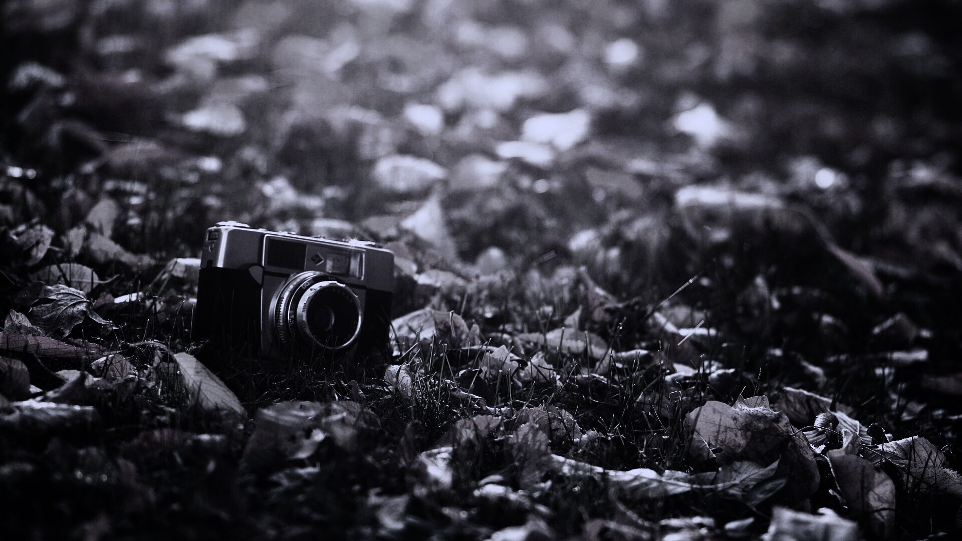 Старый фотоаппарат в траве обои