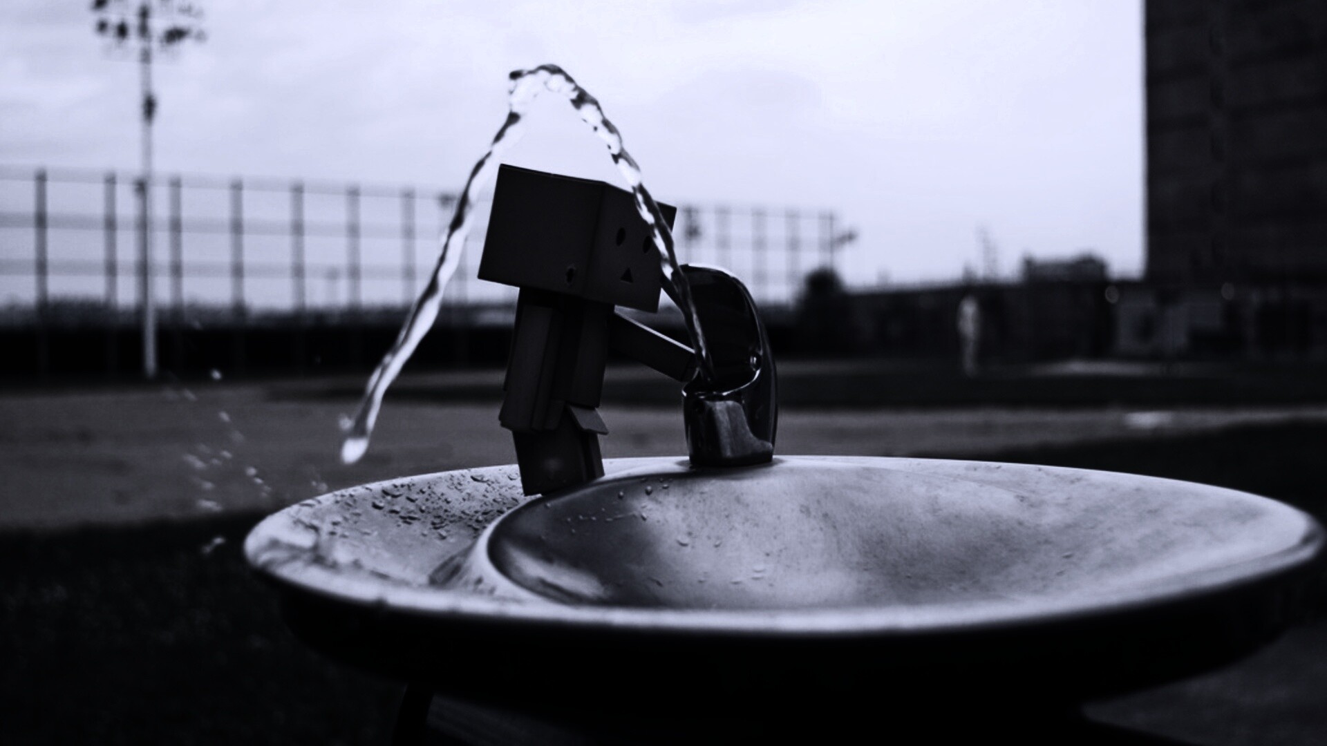 Дандо пьет в воду из фонтанчика обои