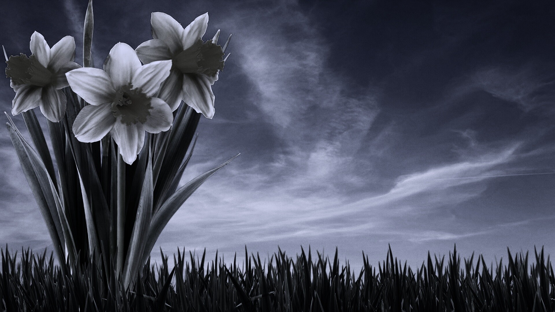 Букет цветов в траве обои