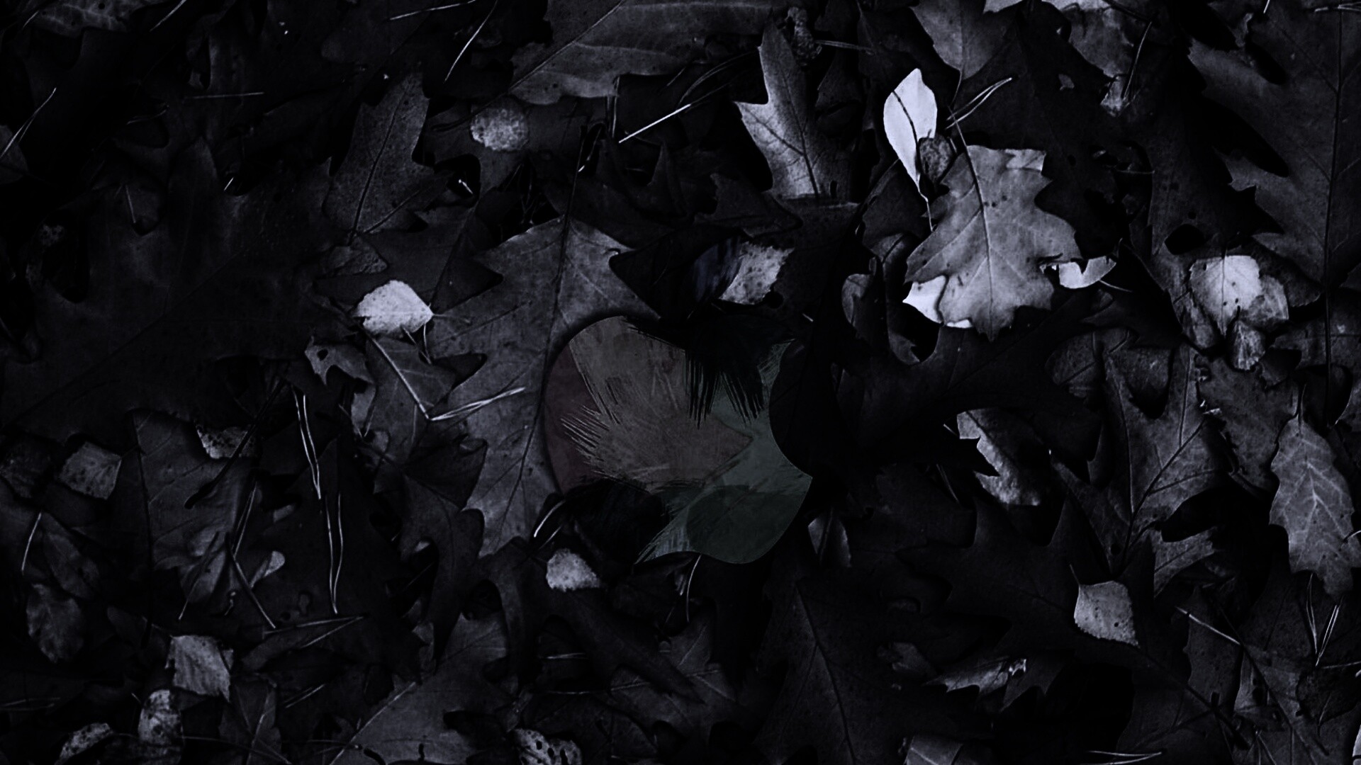 Эпл в сухой листве обои