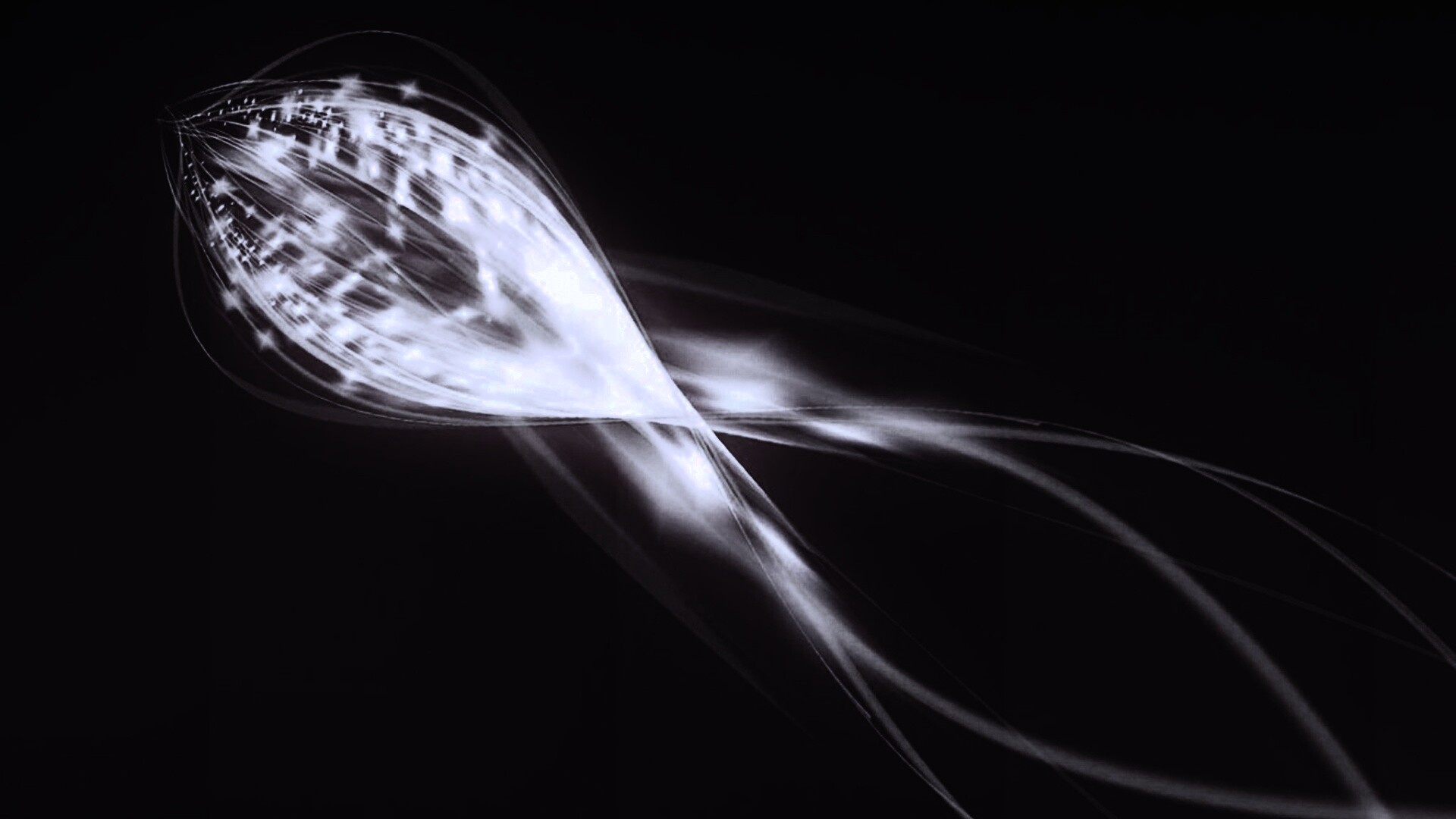 Сгусток красных линий обои