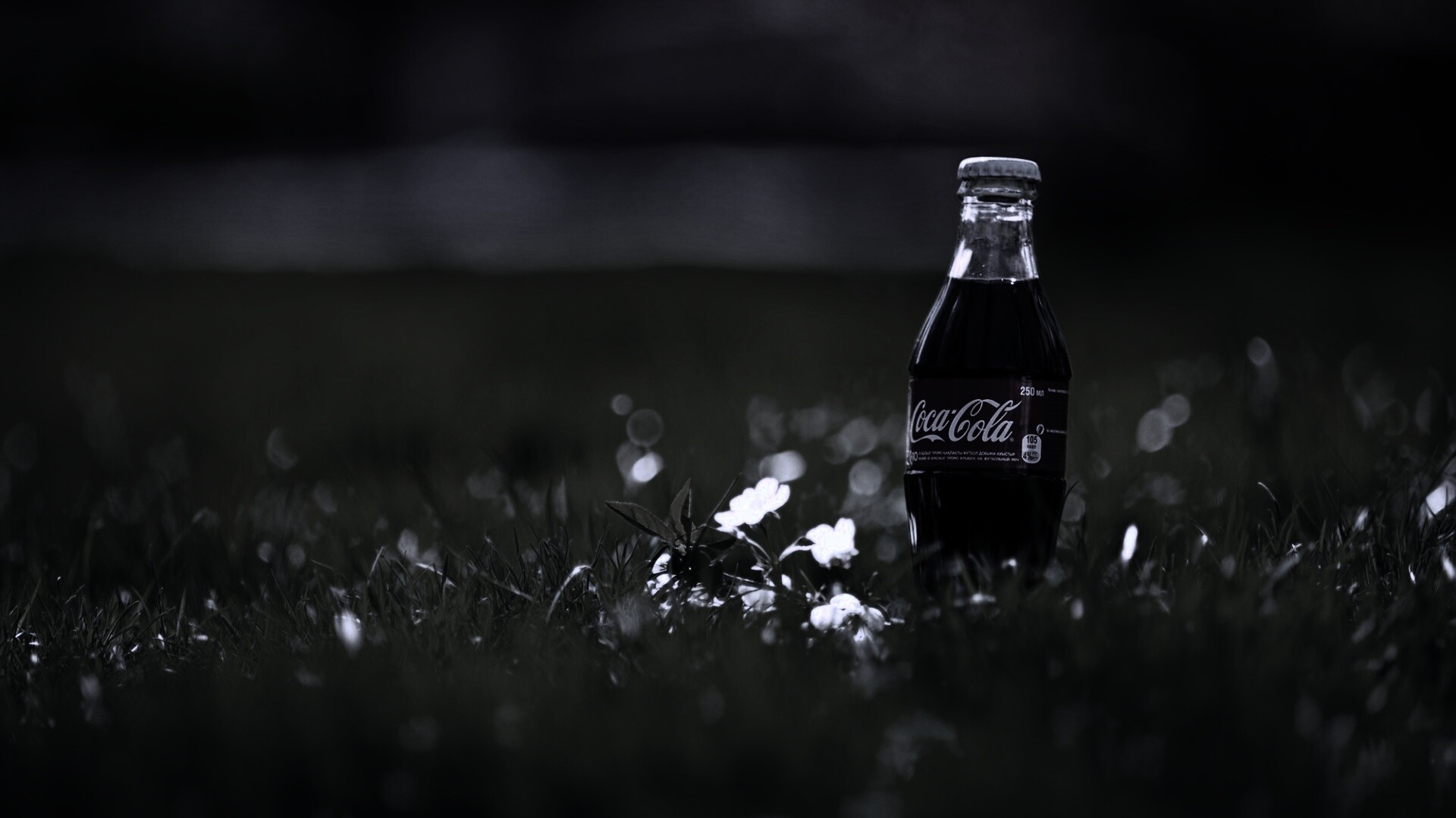 Кока-Кола на траве обои