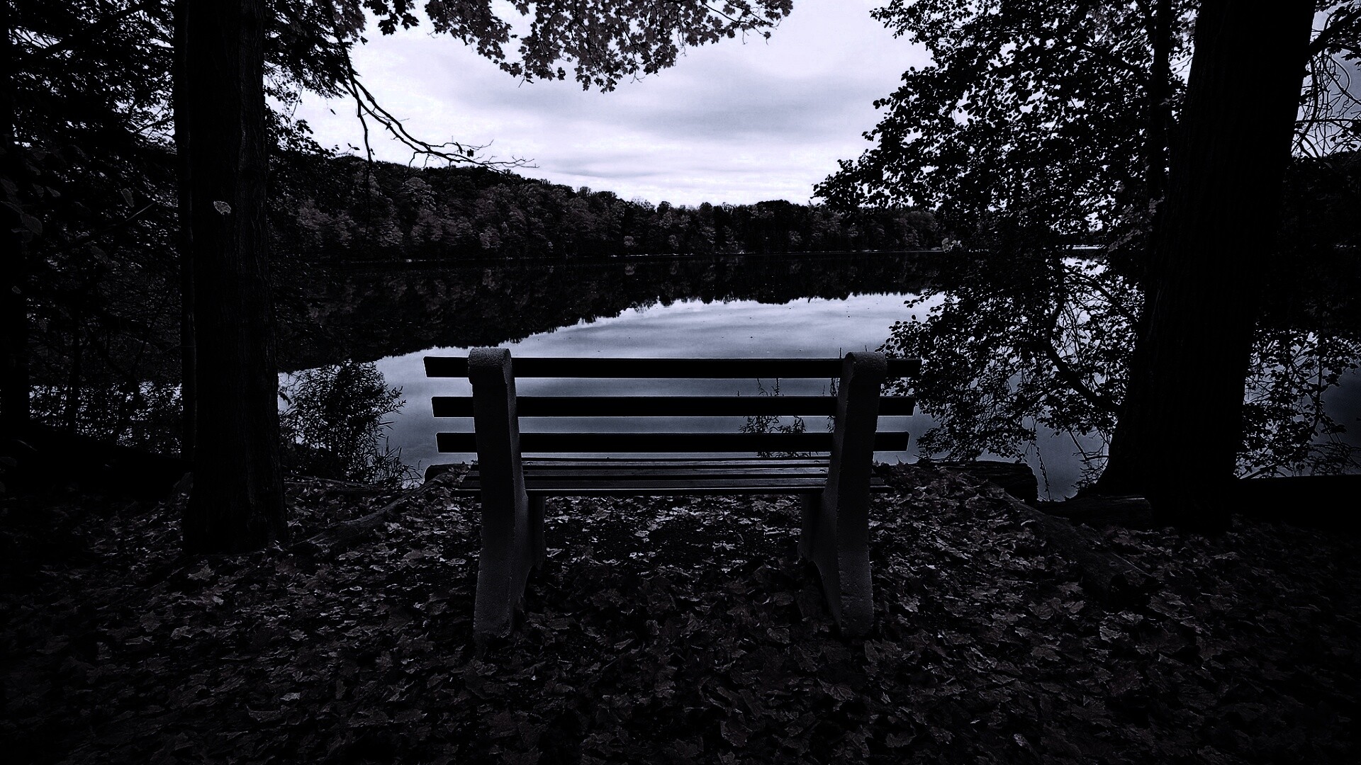 Вид на осеннее озеро обои