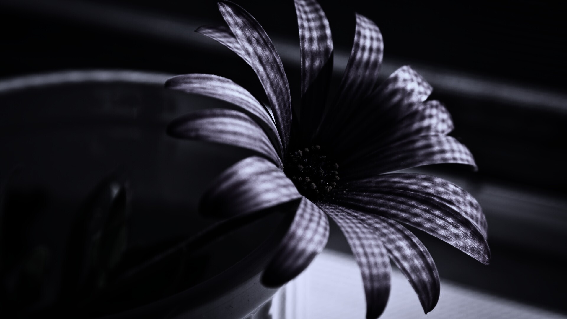 Сиреневый цветок в стакане обои