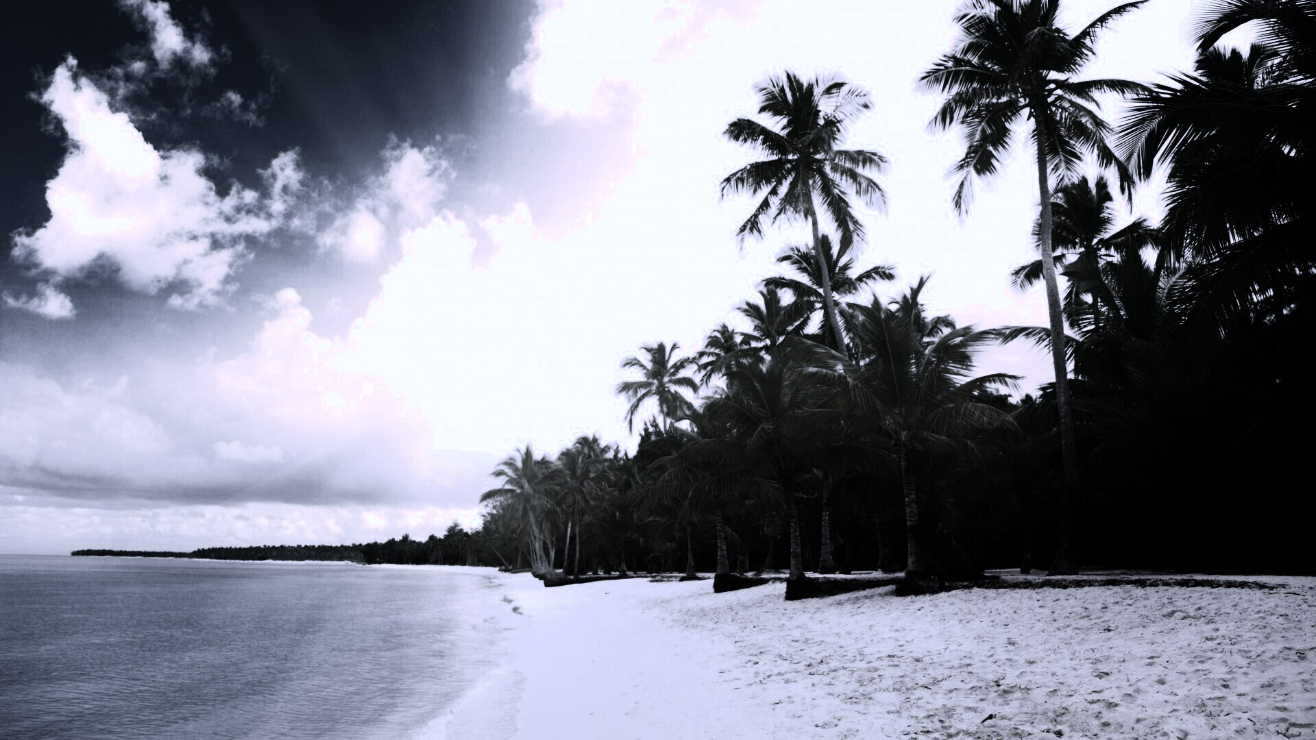 Тропическое побережье обои