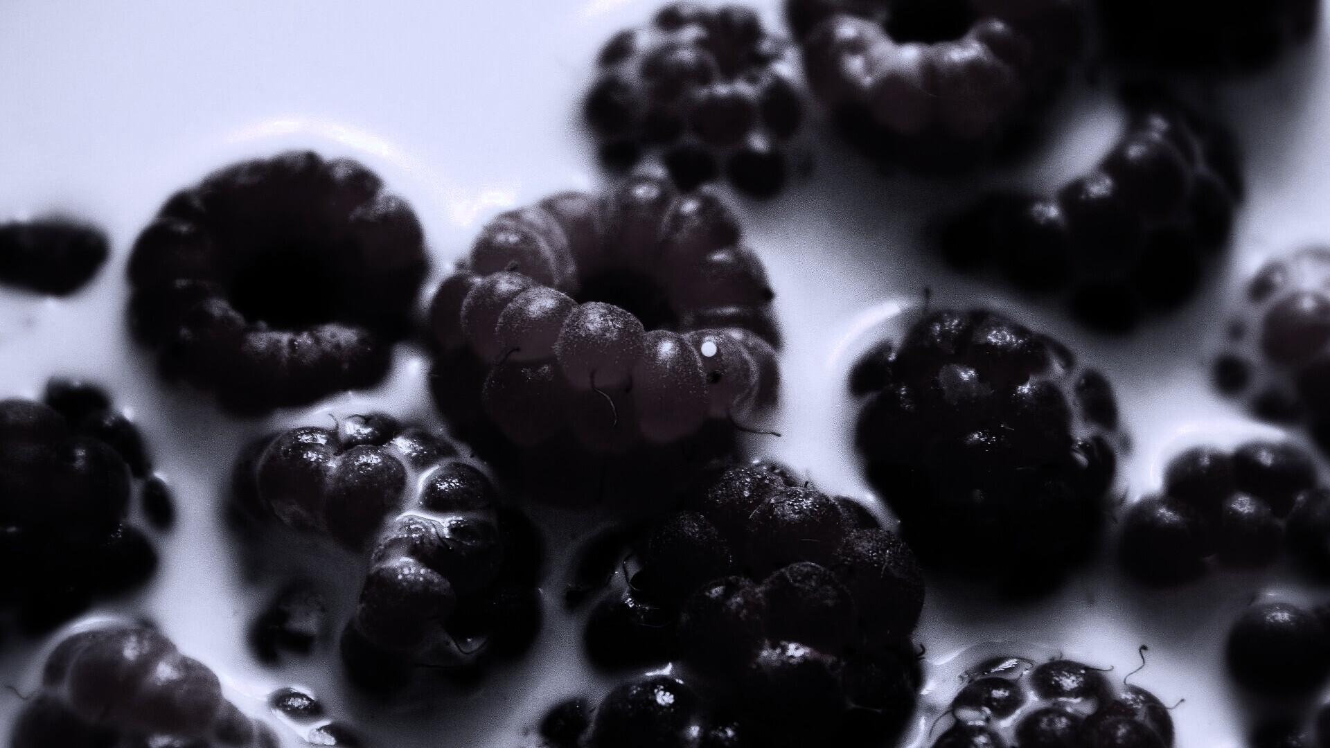 Малина в молоке обои