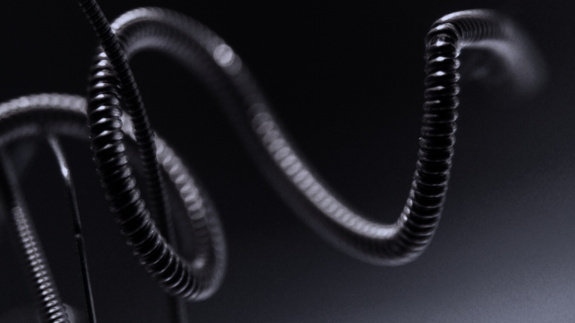 Пружина обои