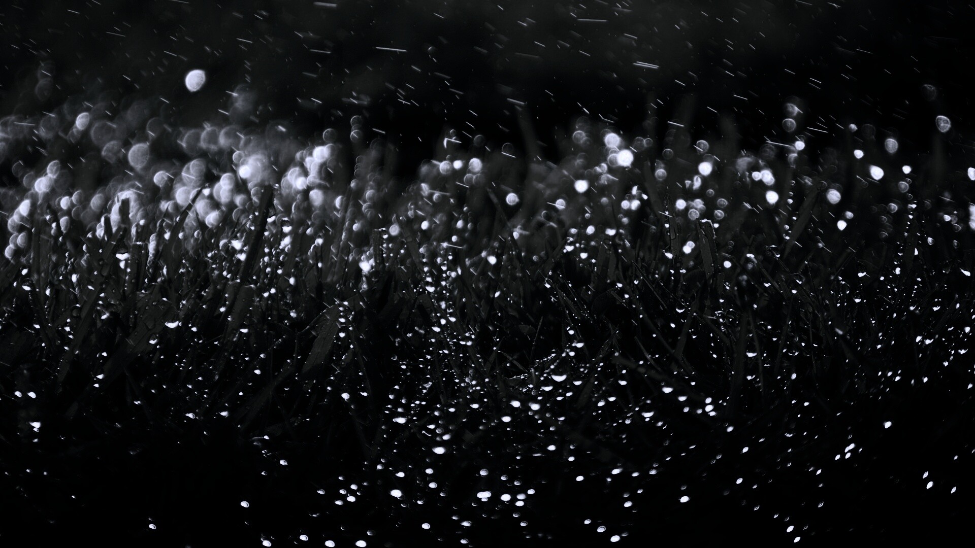 Роса на траве обои