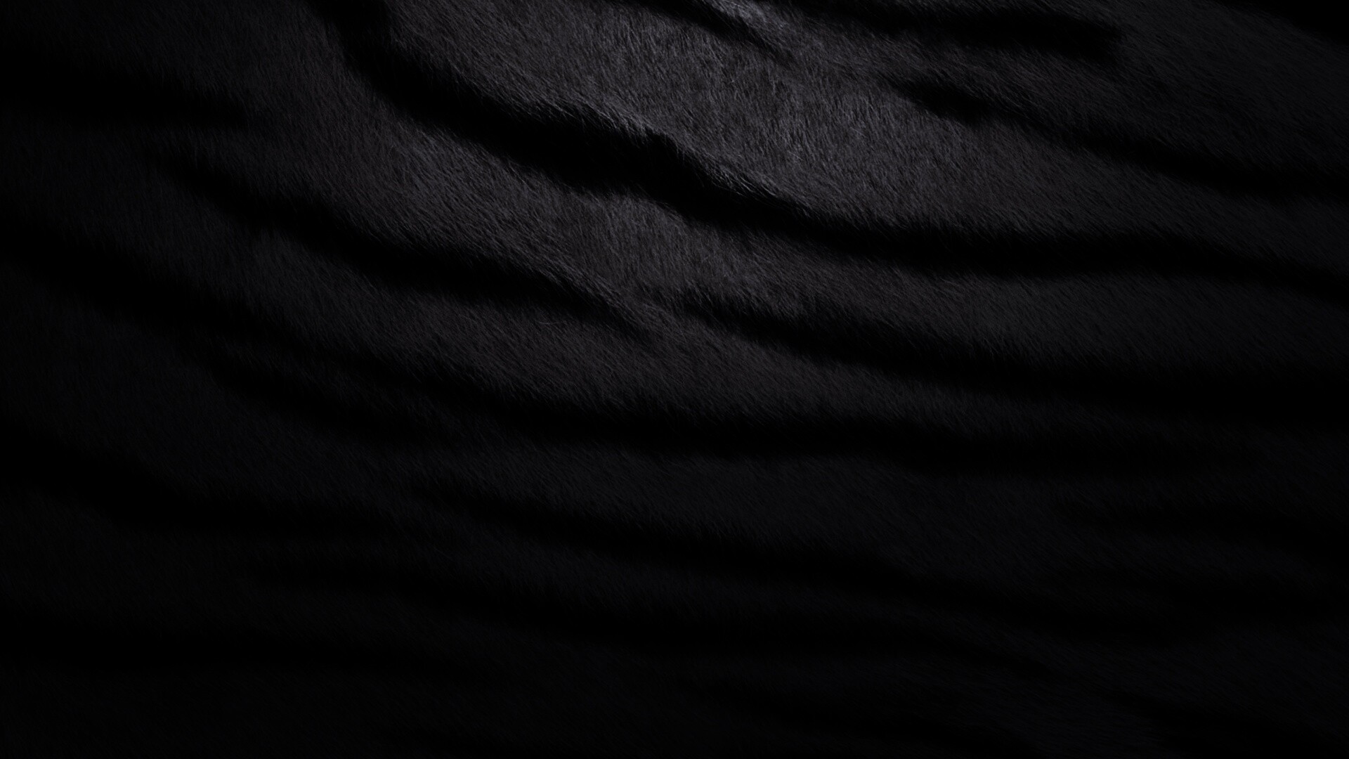 Шкура тигра обои