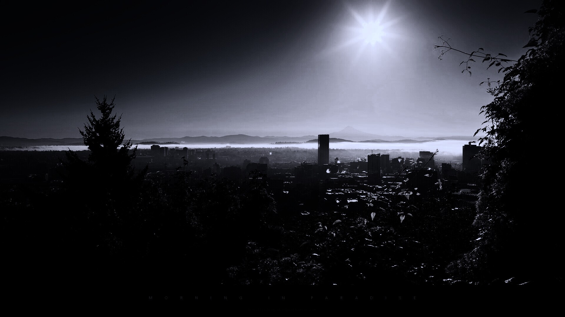 Утро в раю обои