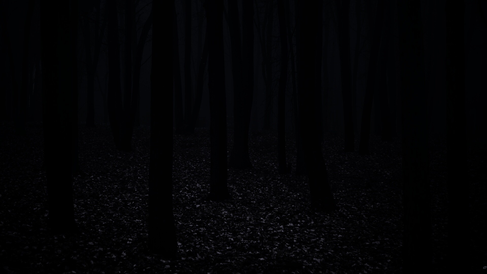 Таинственный лес обои