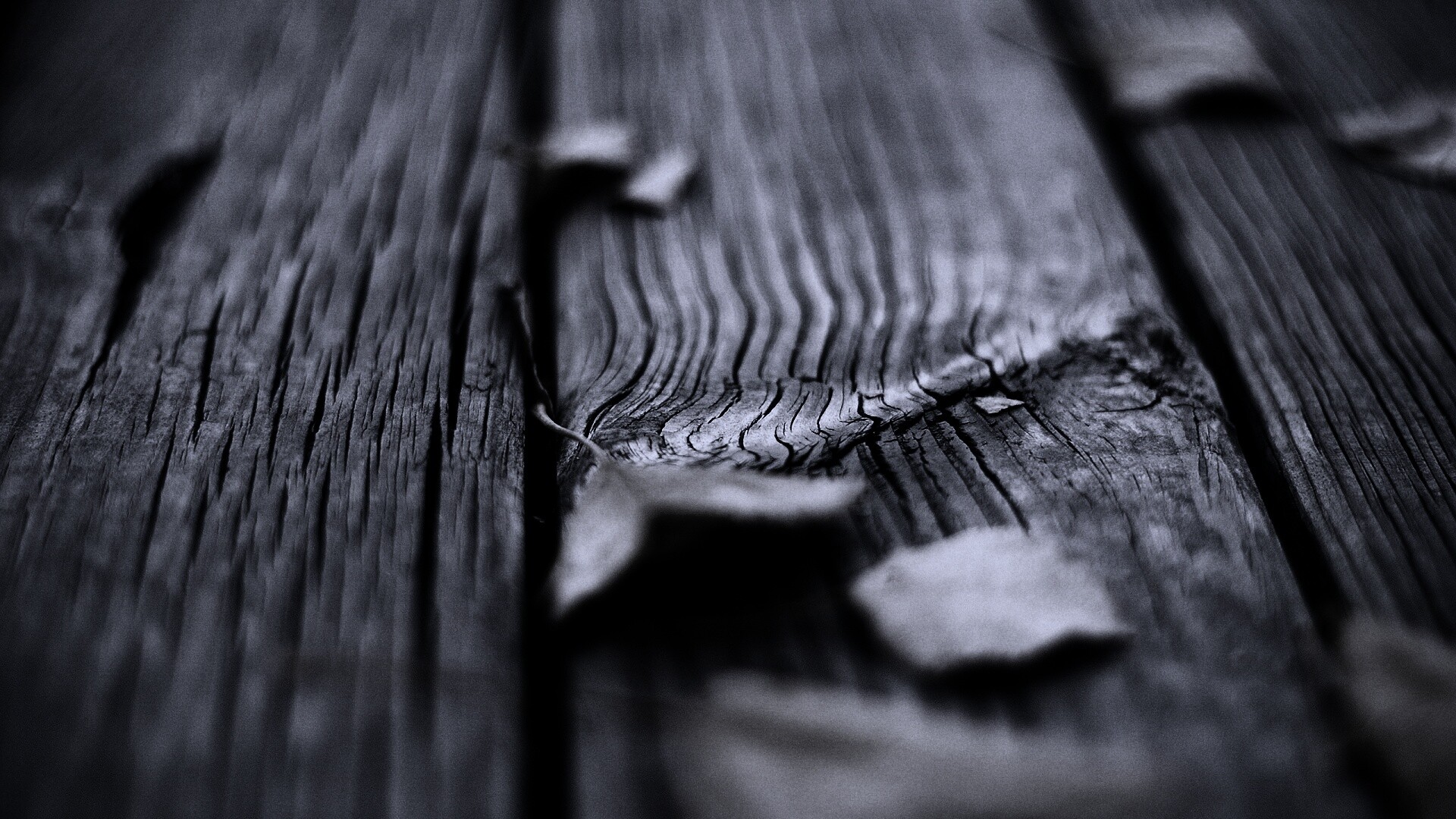 Листья на дощатом полу обои