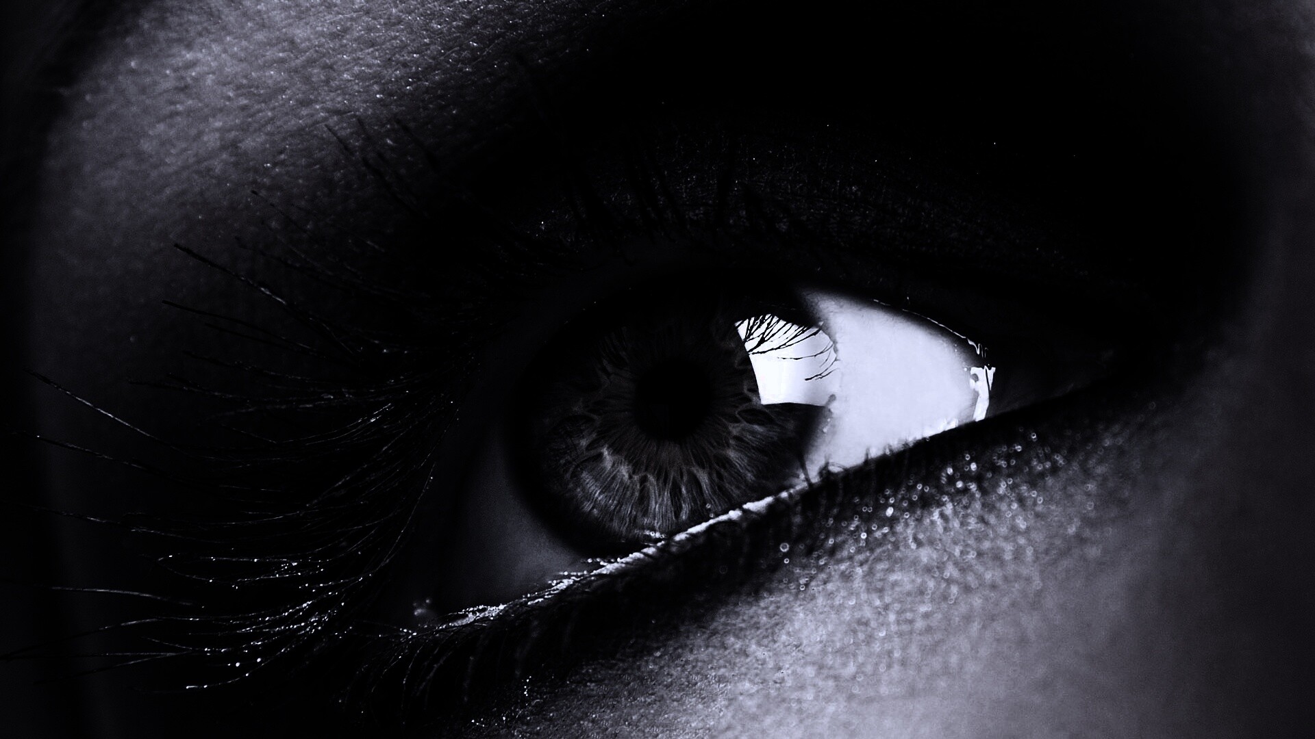 Оранжевый глаз обои