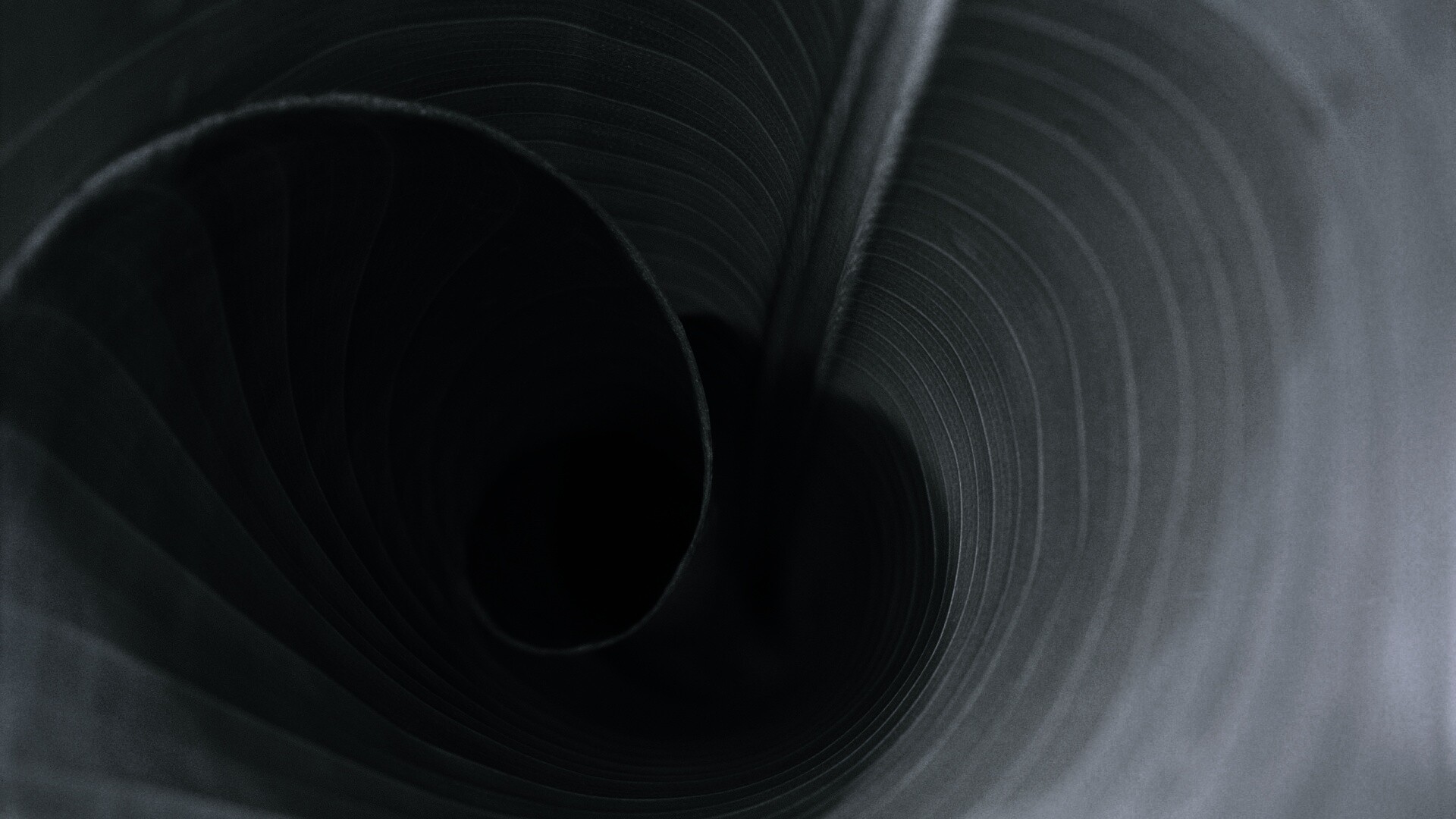 Зеленый лист трубочкой обои