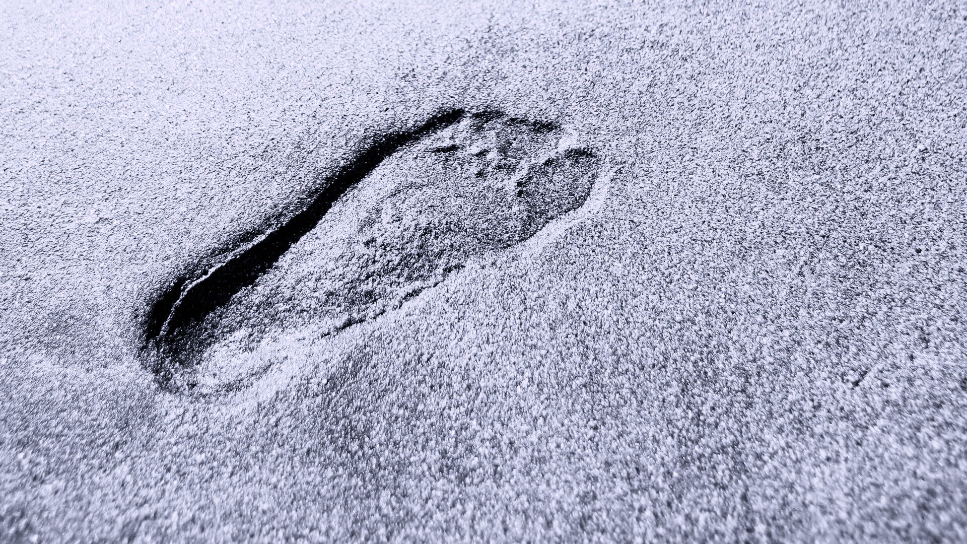 Отпечаток ноги обои