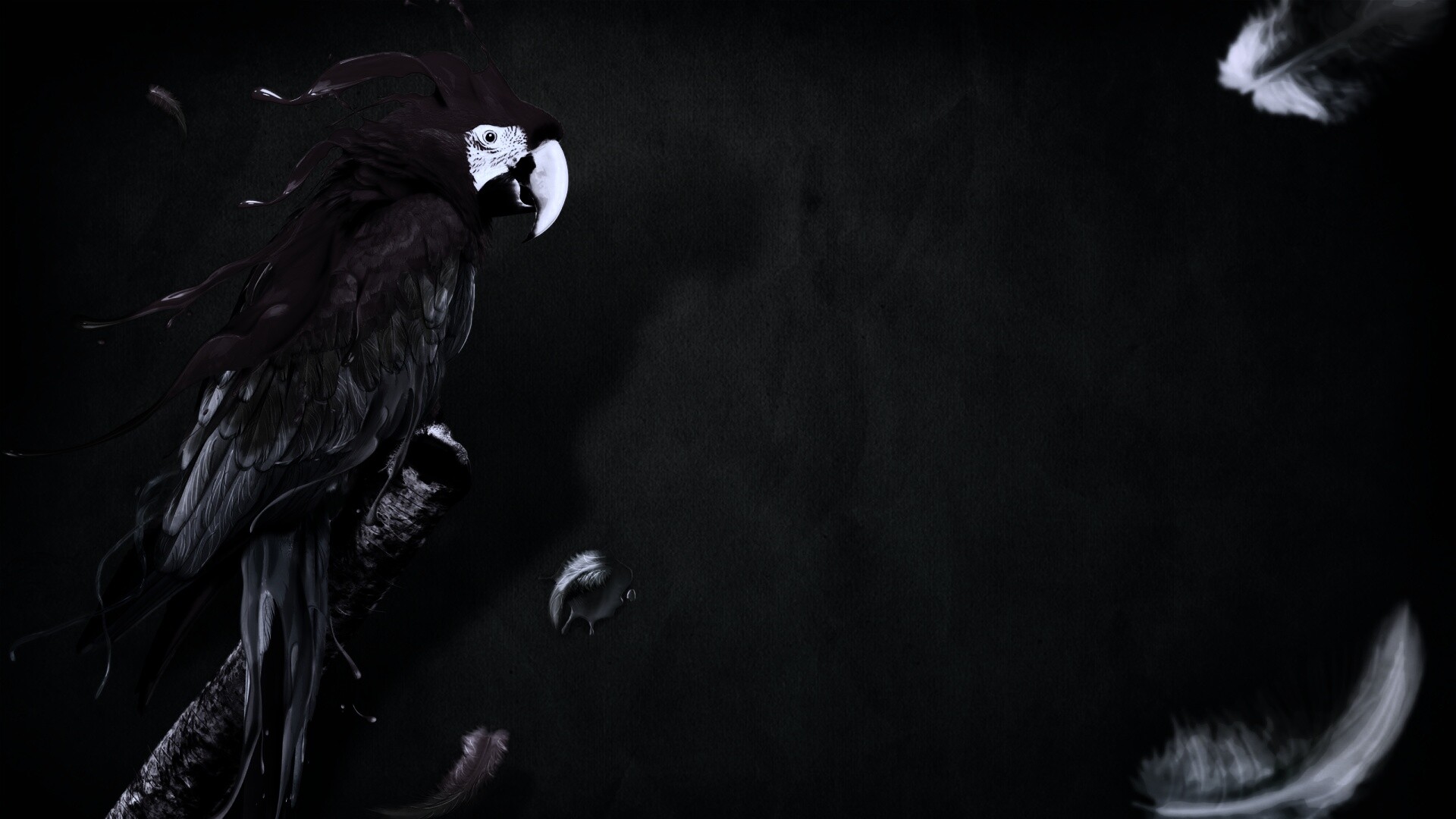 Попугай на ветке обои