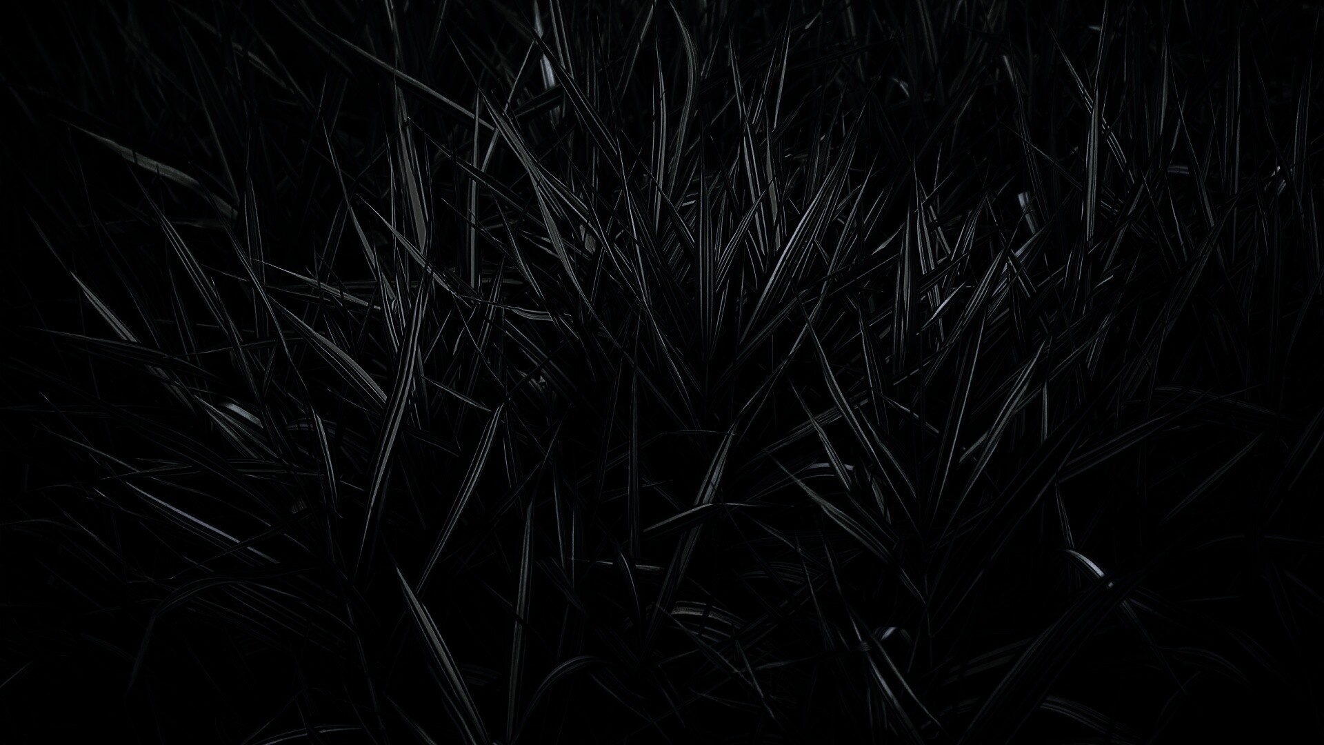 Дикая трава обои