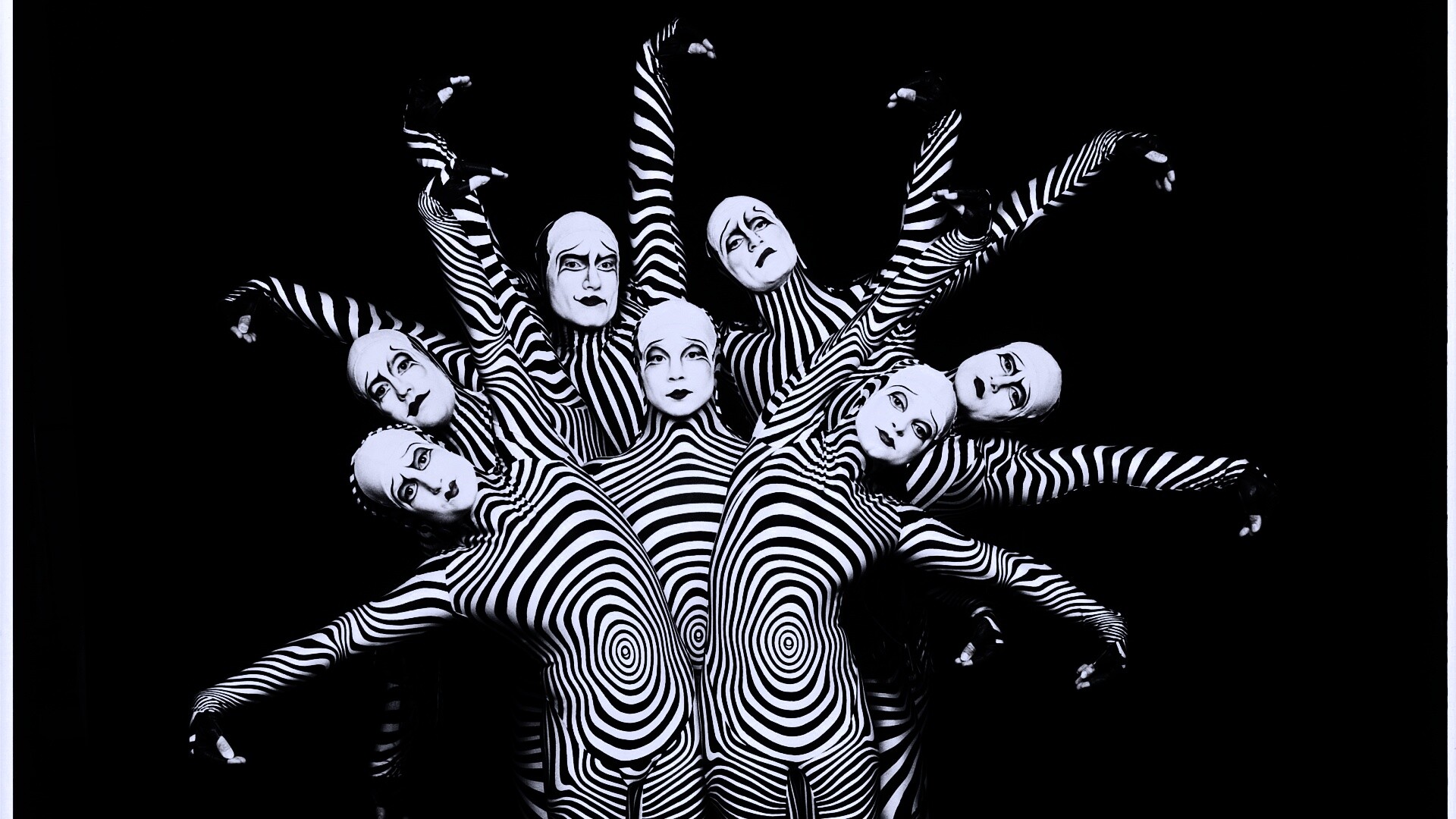 Зеброиды (актеры цирка дю солей) обои