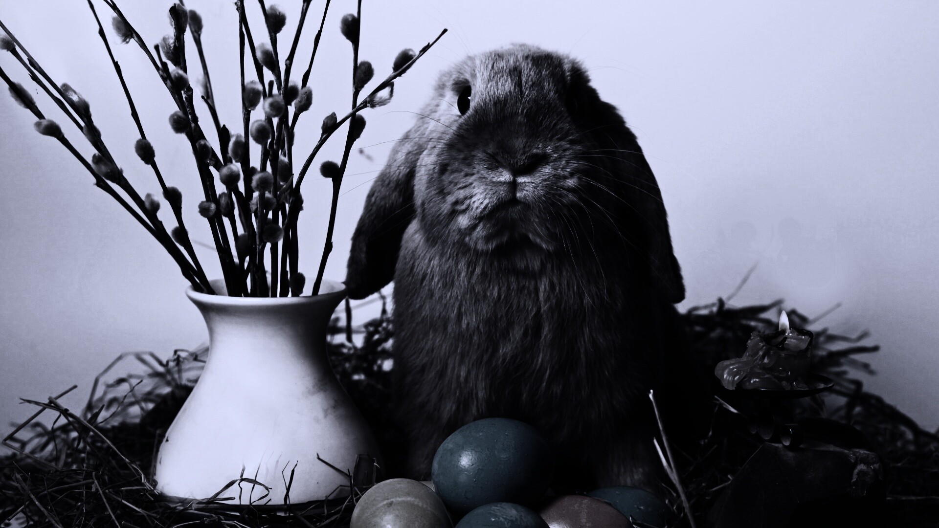 Пасхальный кролик обои