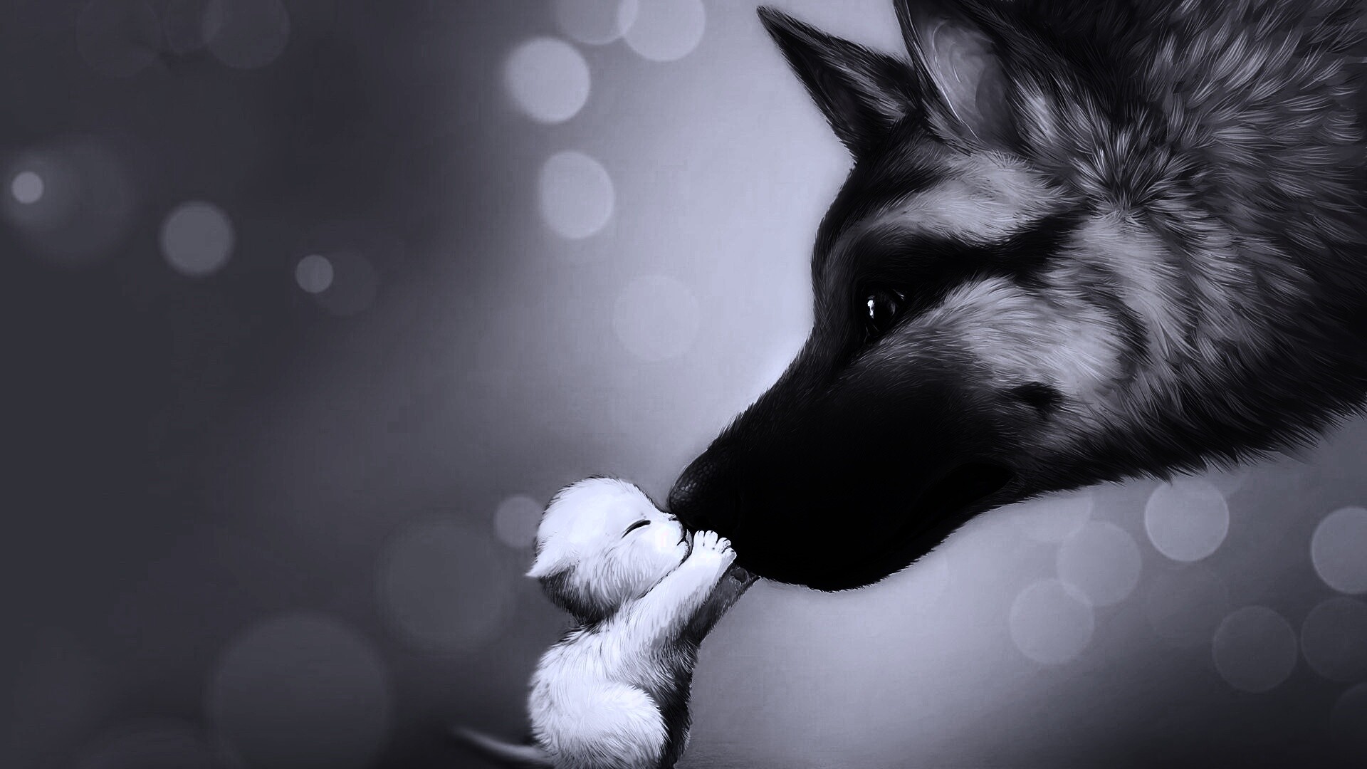 Овчарка и котенок обои