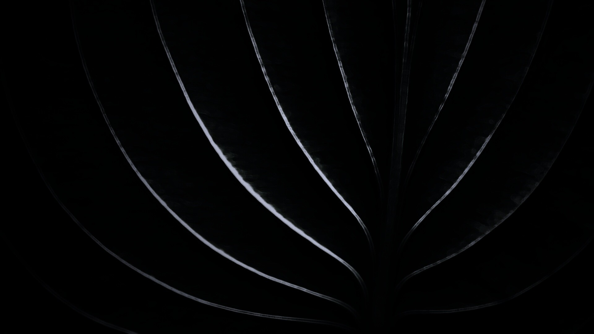 Неоновый лист обои