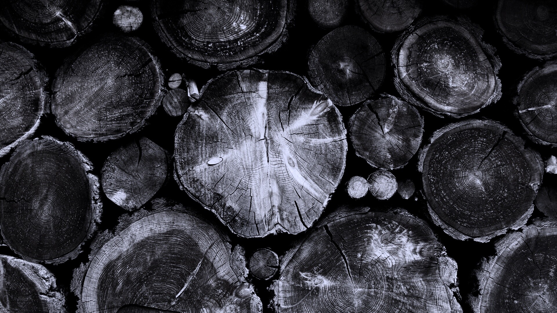 Древесный спил обои