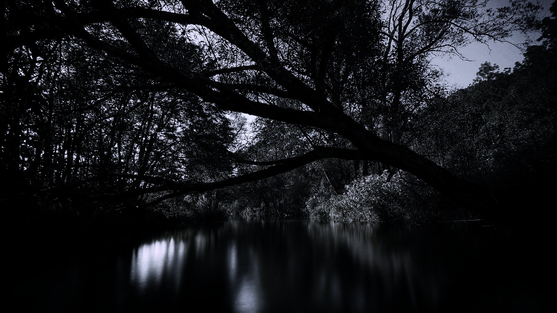 Спокойная лесная река обои