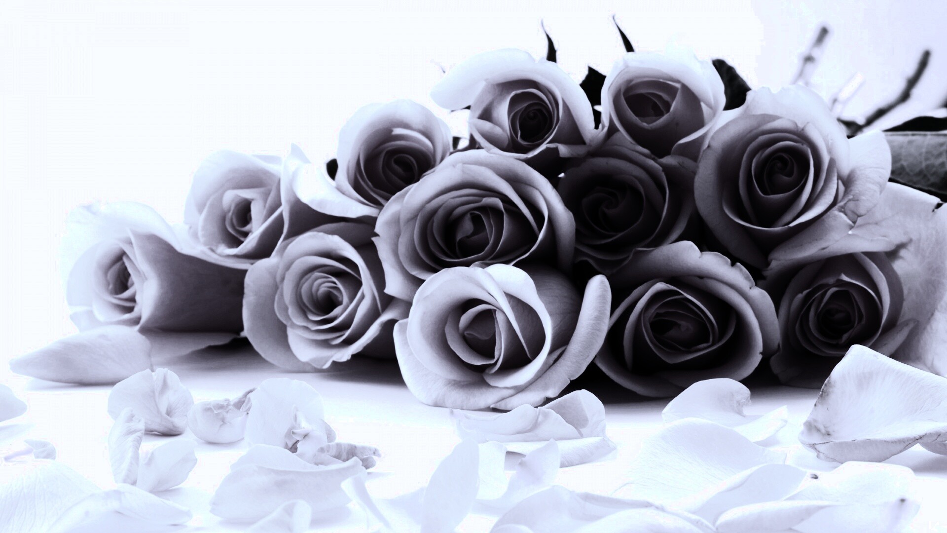 Букет роз обои