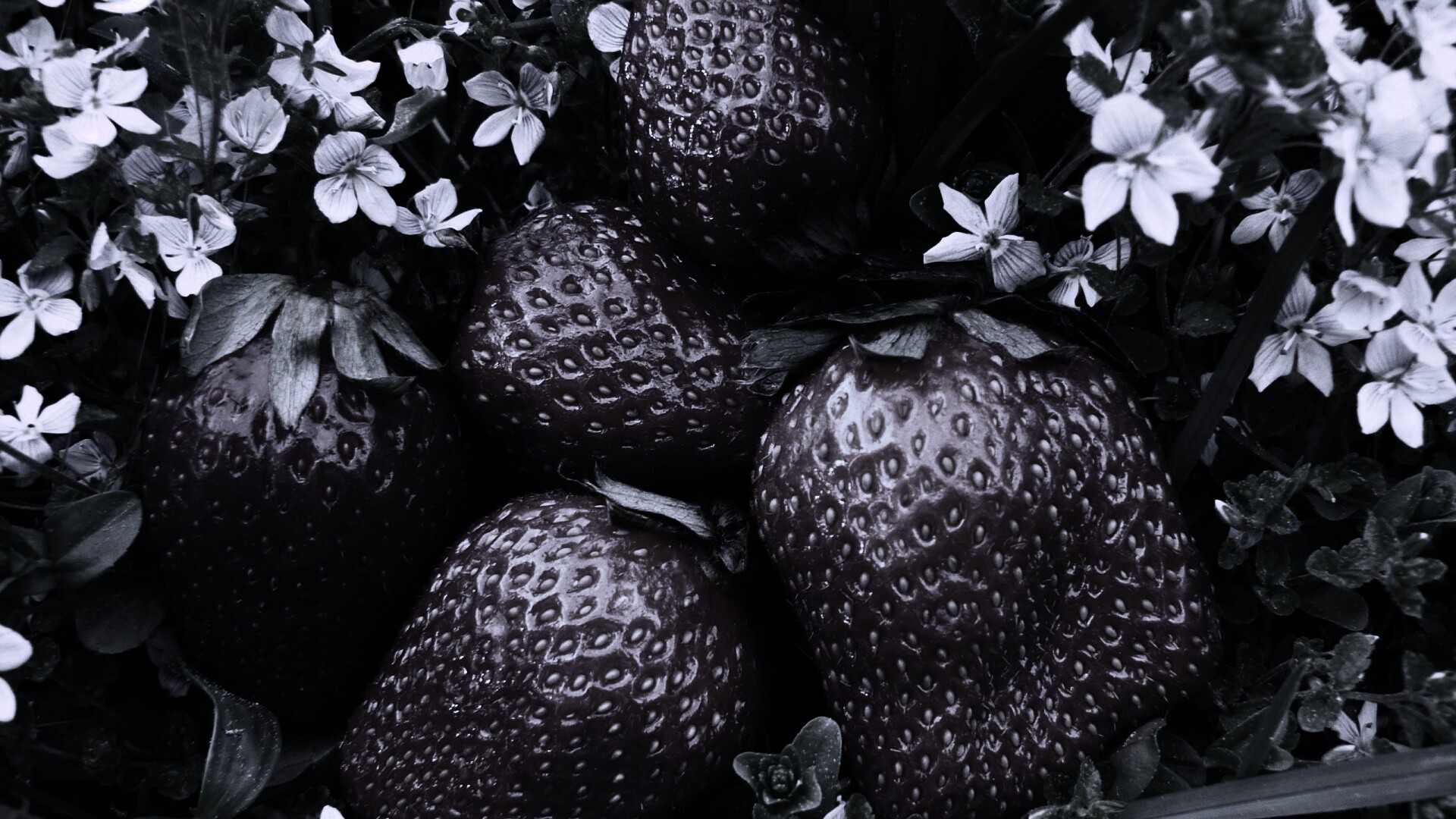 Клубника обои