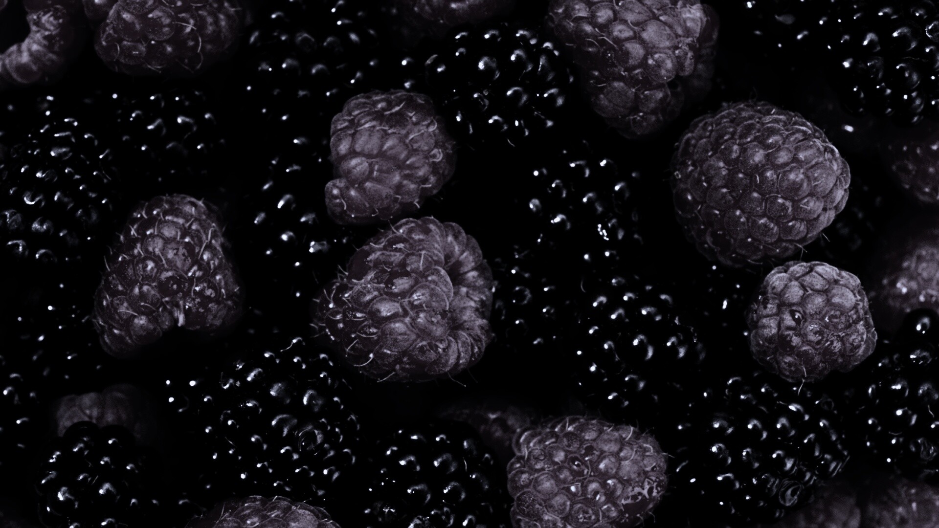 Малина и ежевика обои