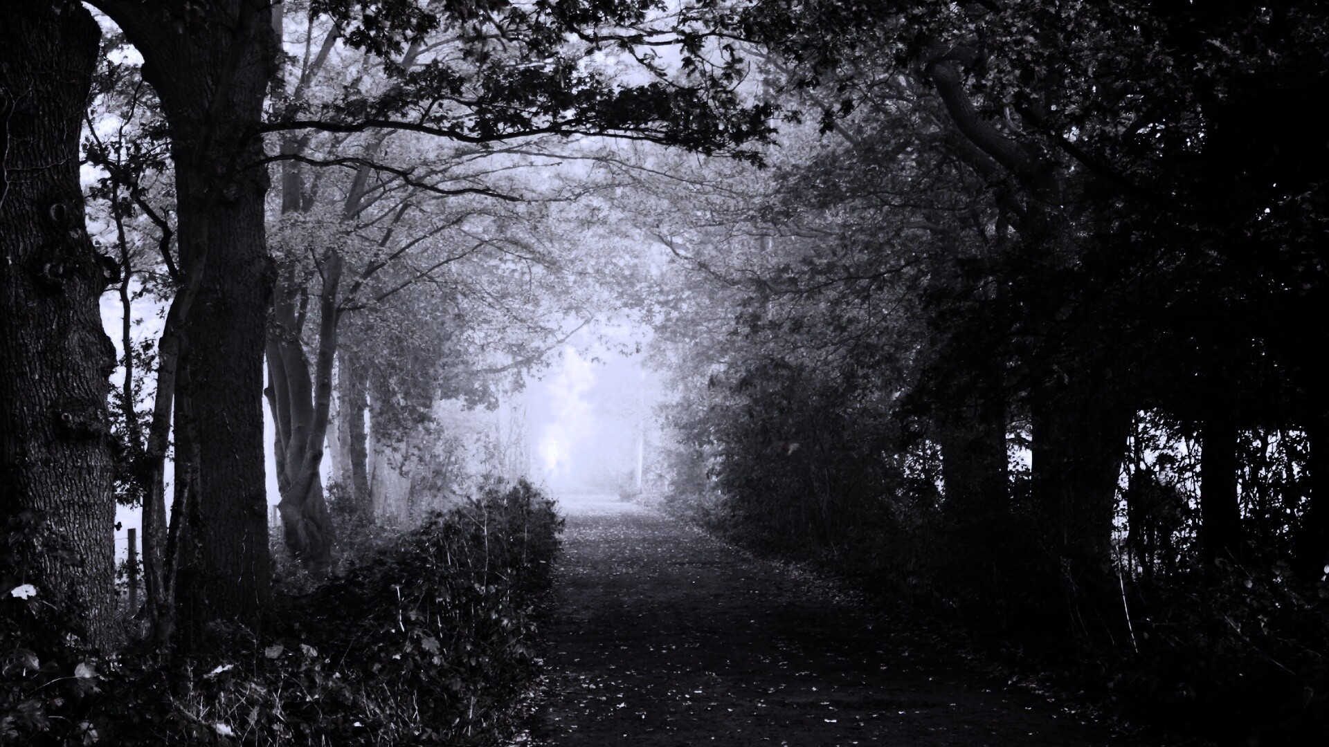 Парковая дорожка обои