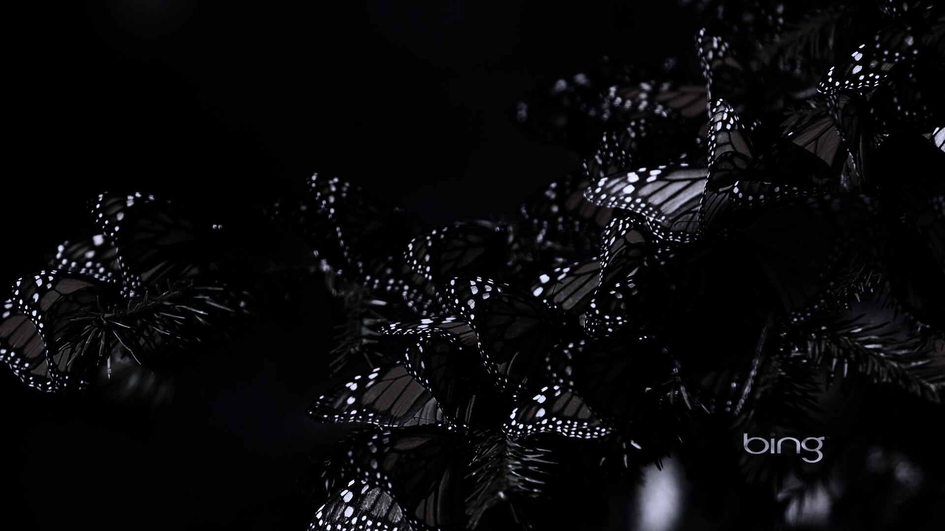 Бабочки облепили ёлку обои