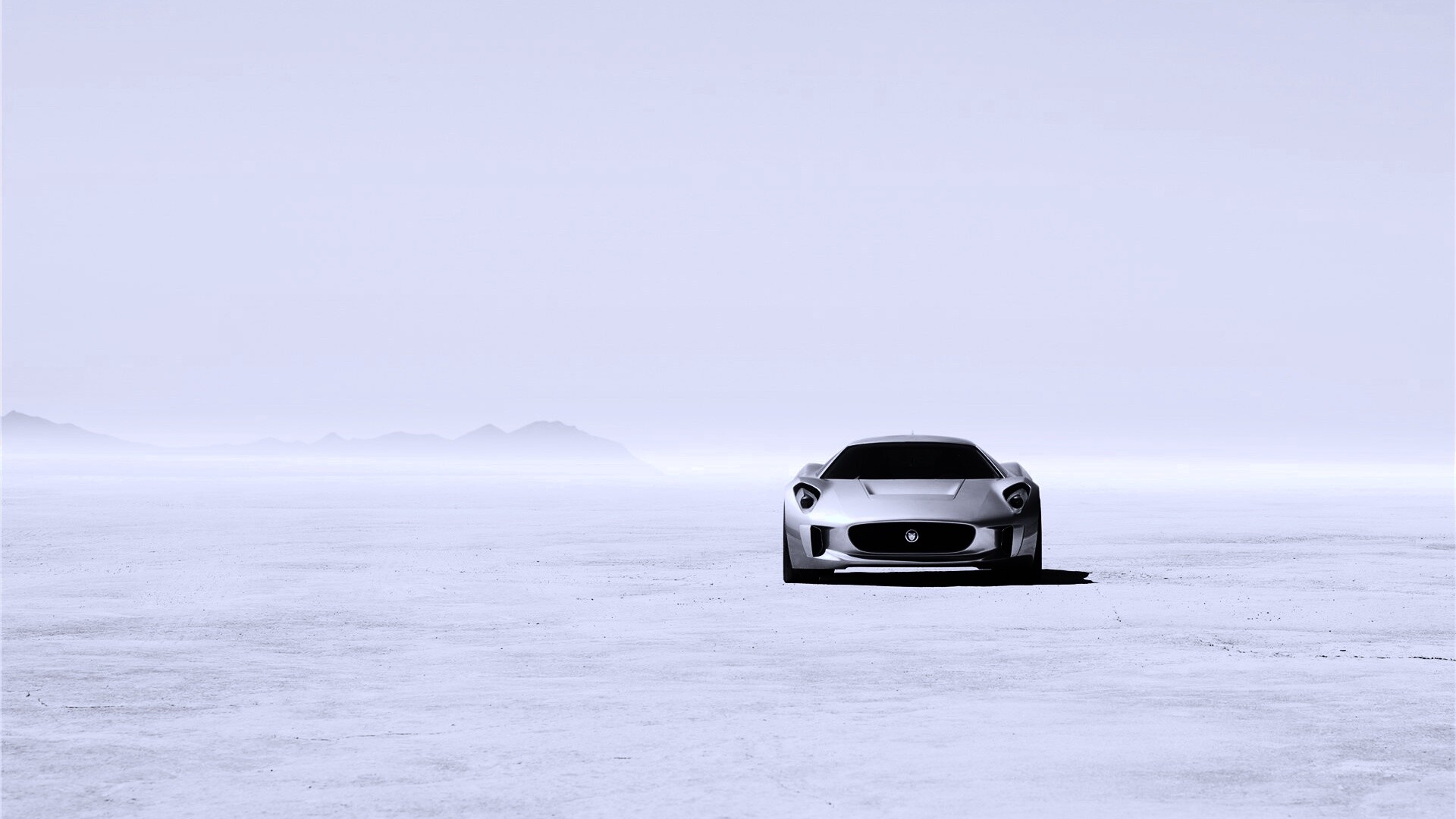 Ягуар подкрадывается обои