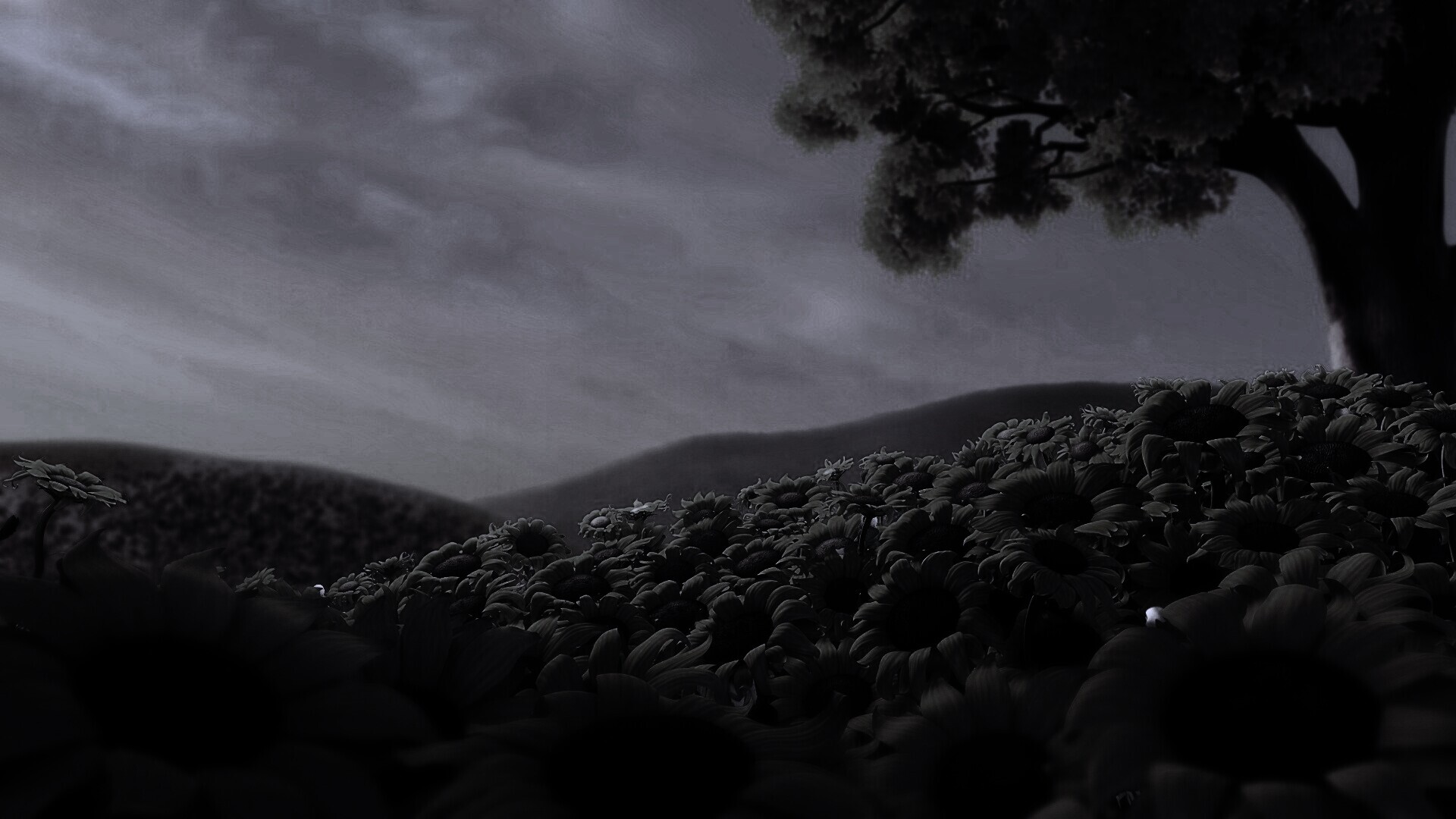 Подсолнухи обои