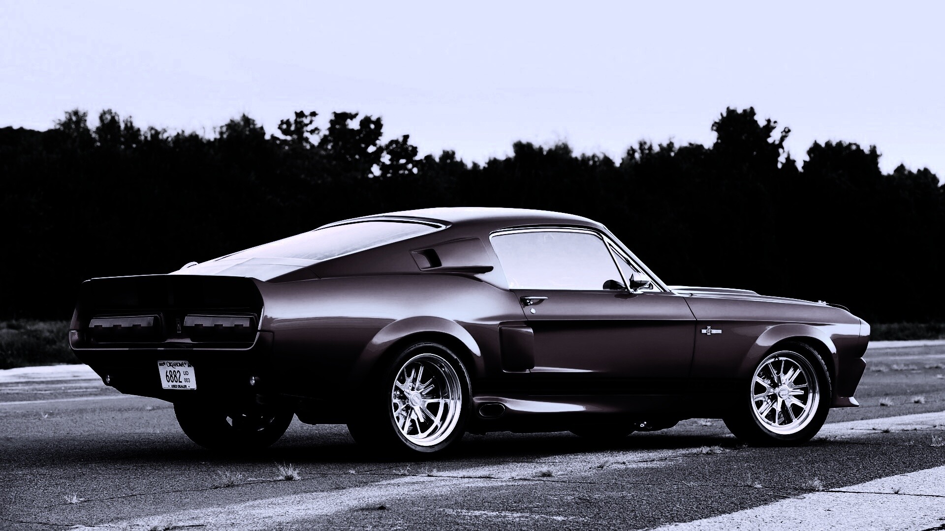 Shelby GT500 CR обои