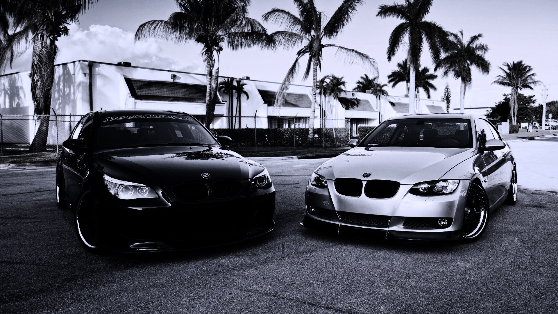 Две БМВ обои